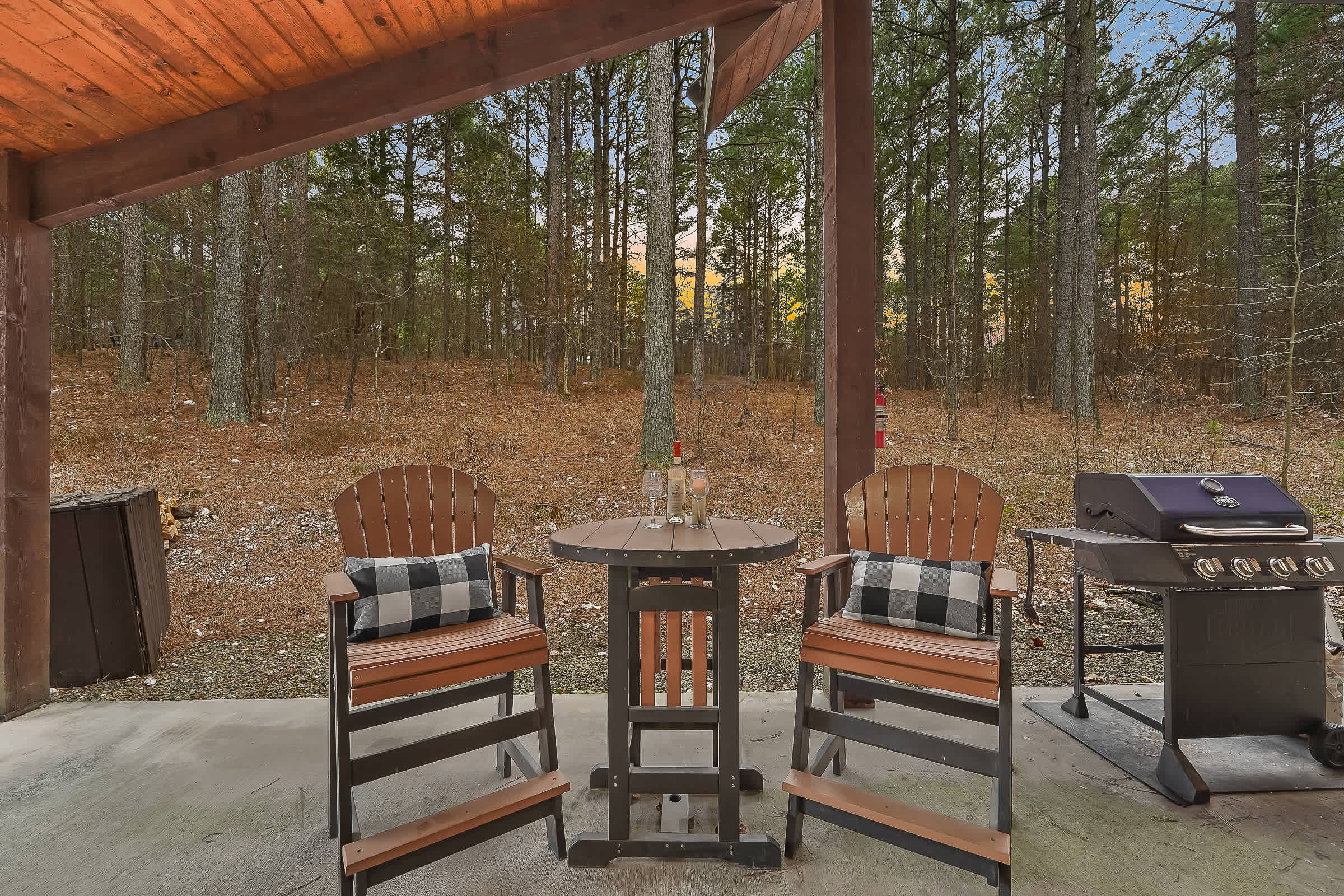 NEW! Prime Cabin Chateau, Hot Tub-Firepit-Sleeps 6