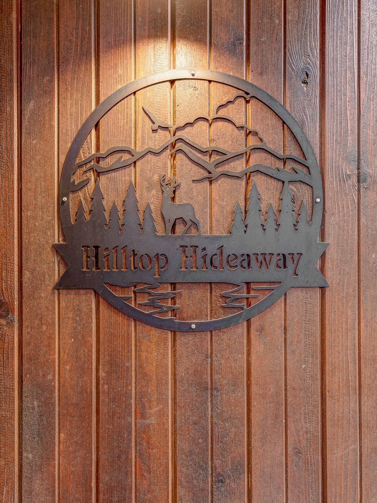 NEW! Prime Cabin Chateau, Hot Tub-Firepit-Sleeps 6