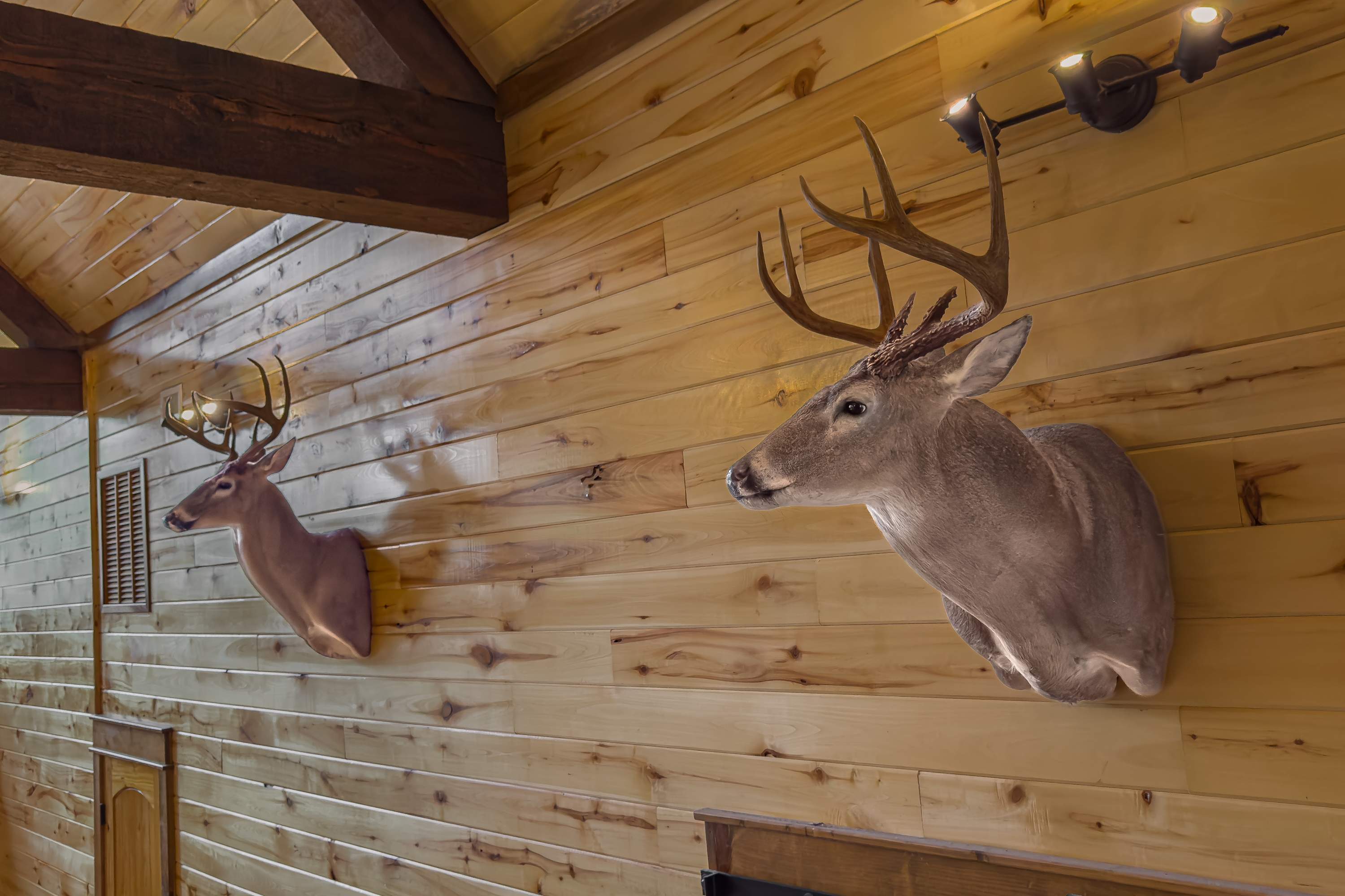 NEW! Prime Cabin Chateau, Hot Tub-Firepit-Sleeps 6