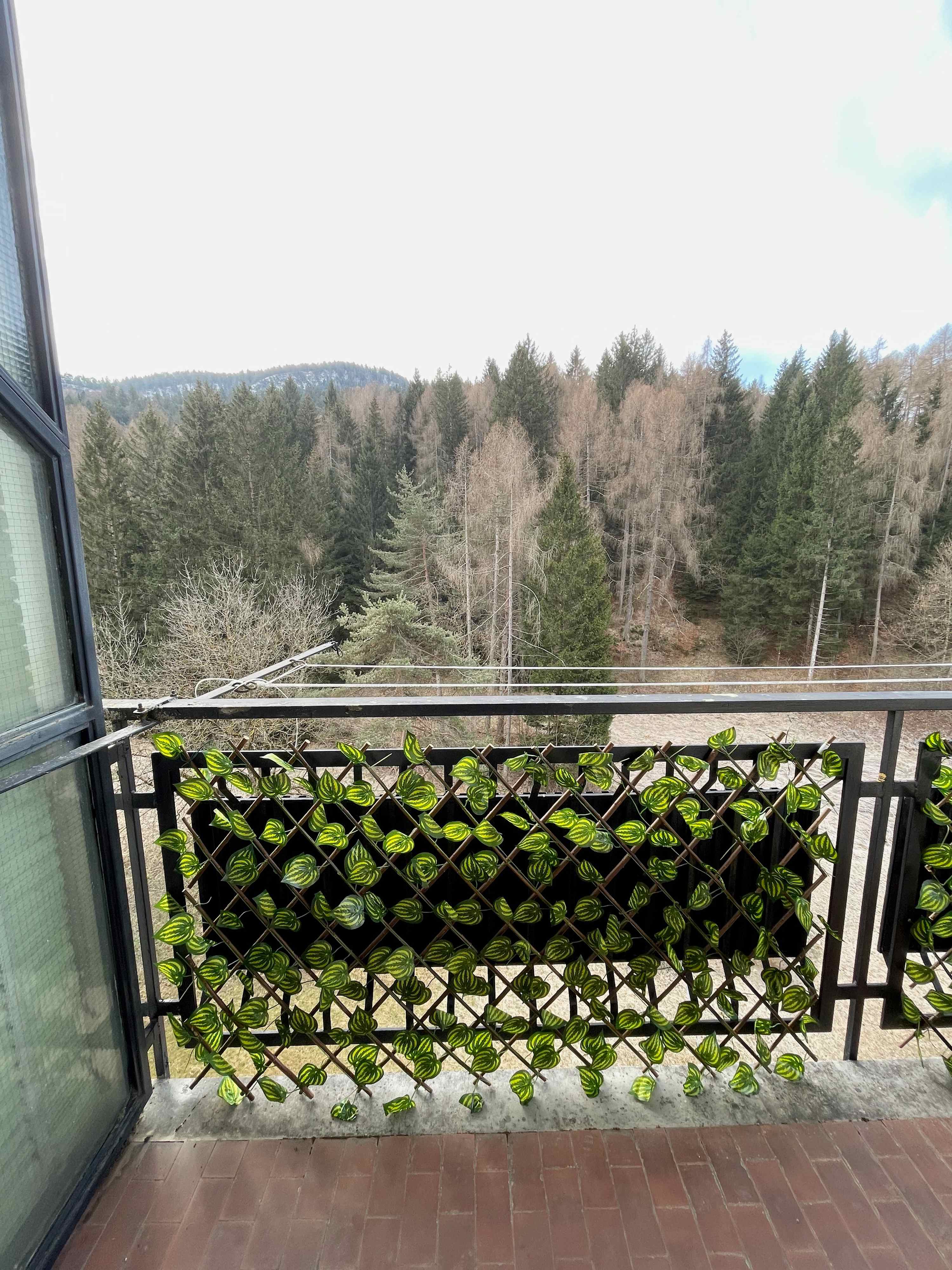 View 3