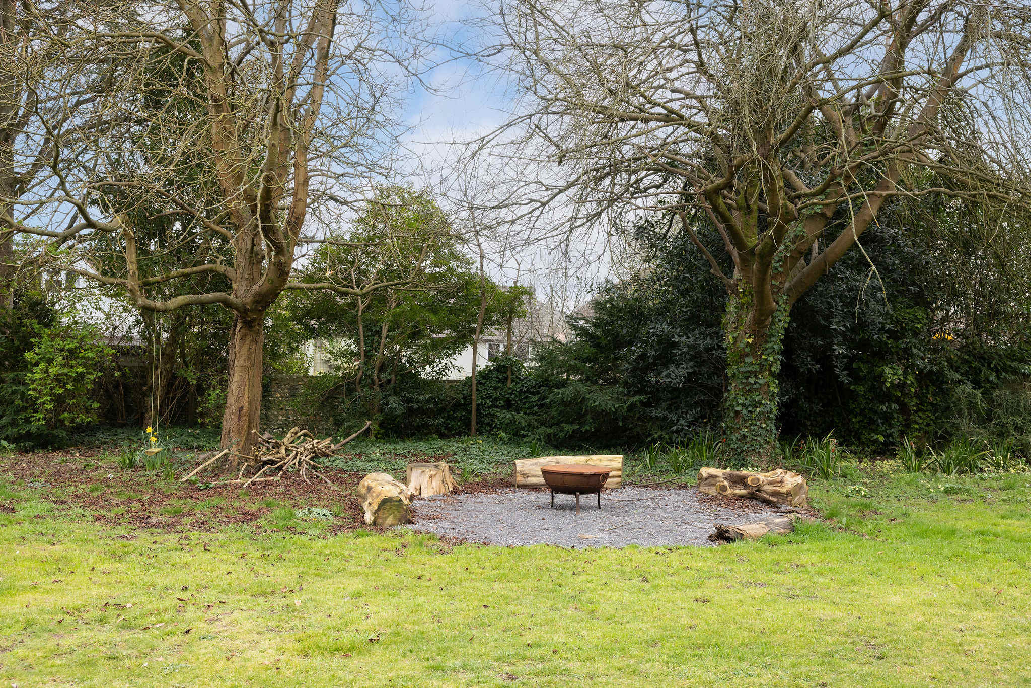 Marshmallows at the ready, a rustic fire pit area beneath towering trees, ideal for gatherings
