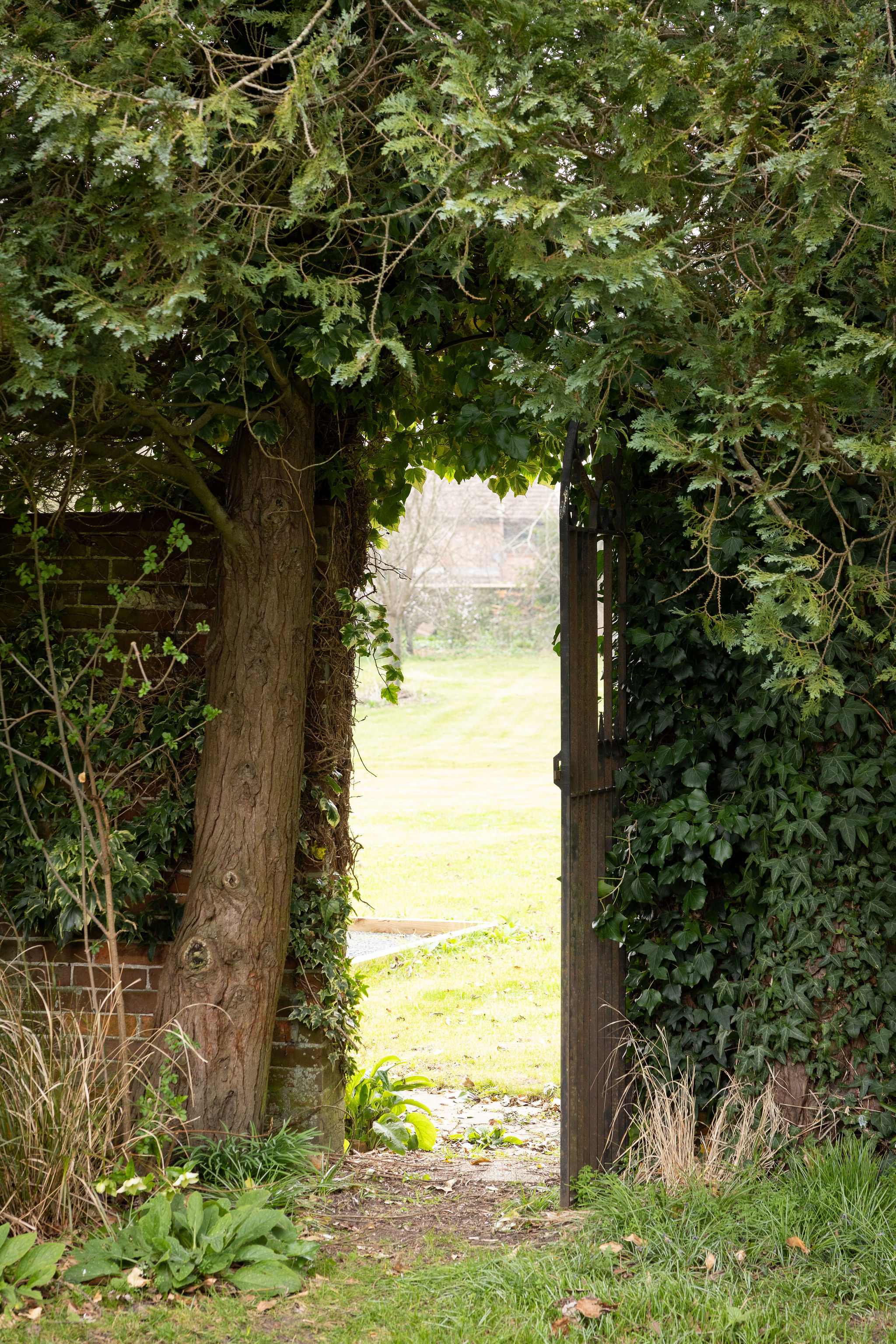 A secret garden gate framed by ivy opens to a scenic landscape