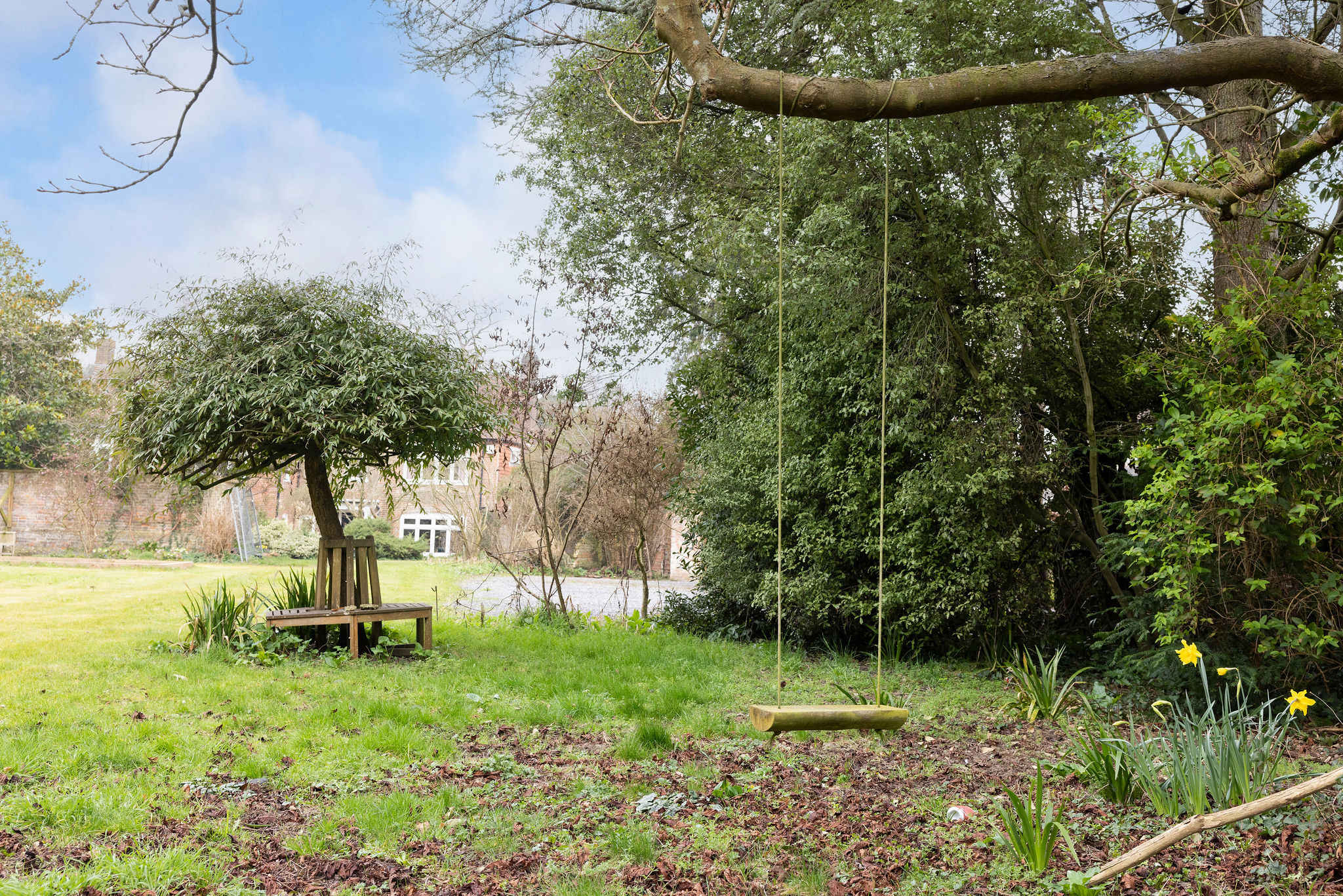 A rope swing hanging from a sturdy tree, adding a playful touch