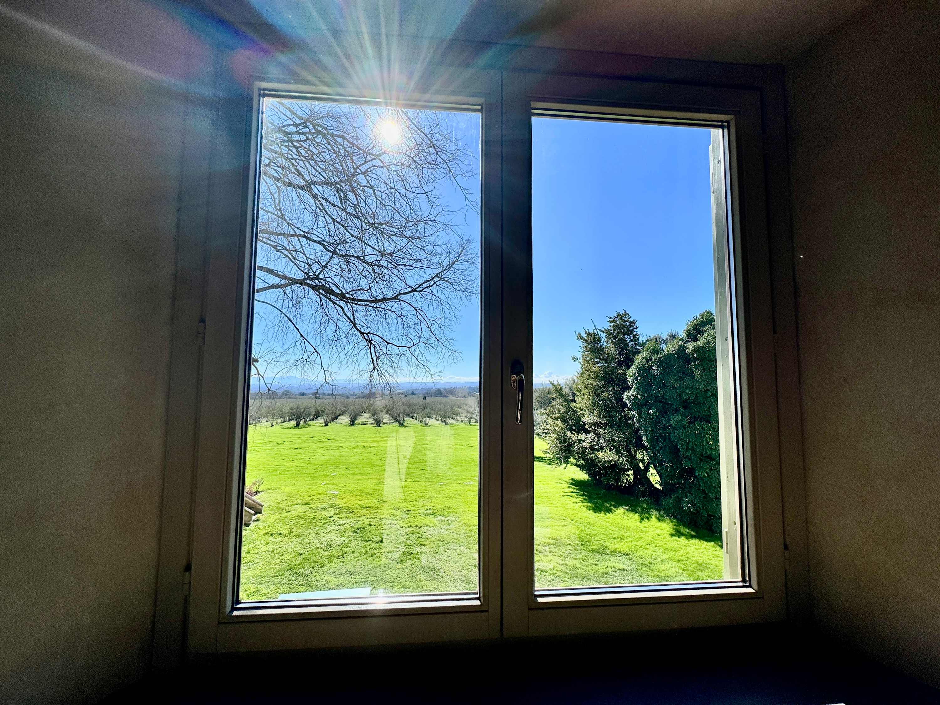 Estate of Joy - Image 9