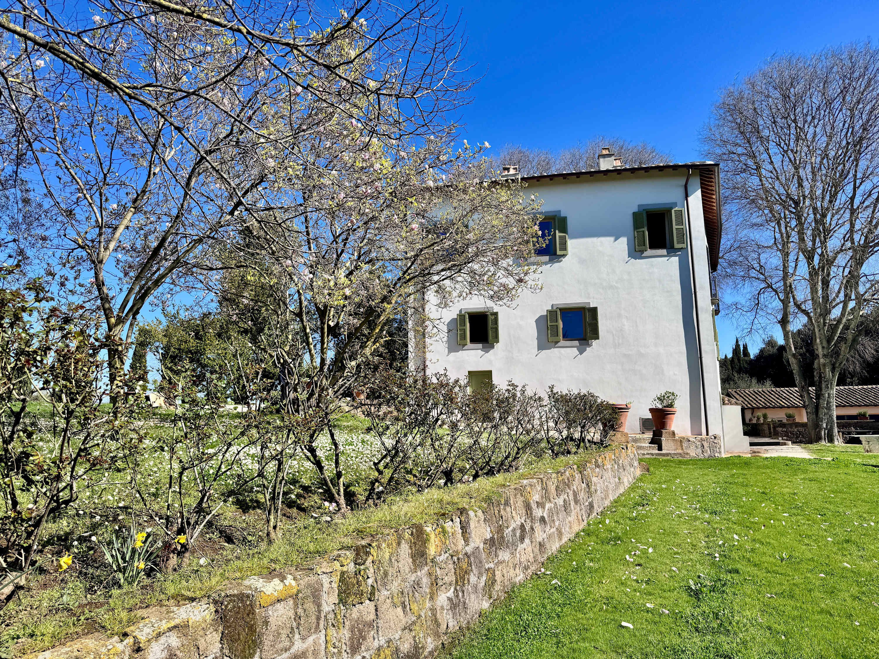 Estate of Joy - Image 34