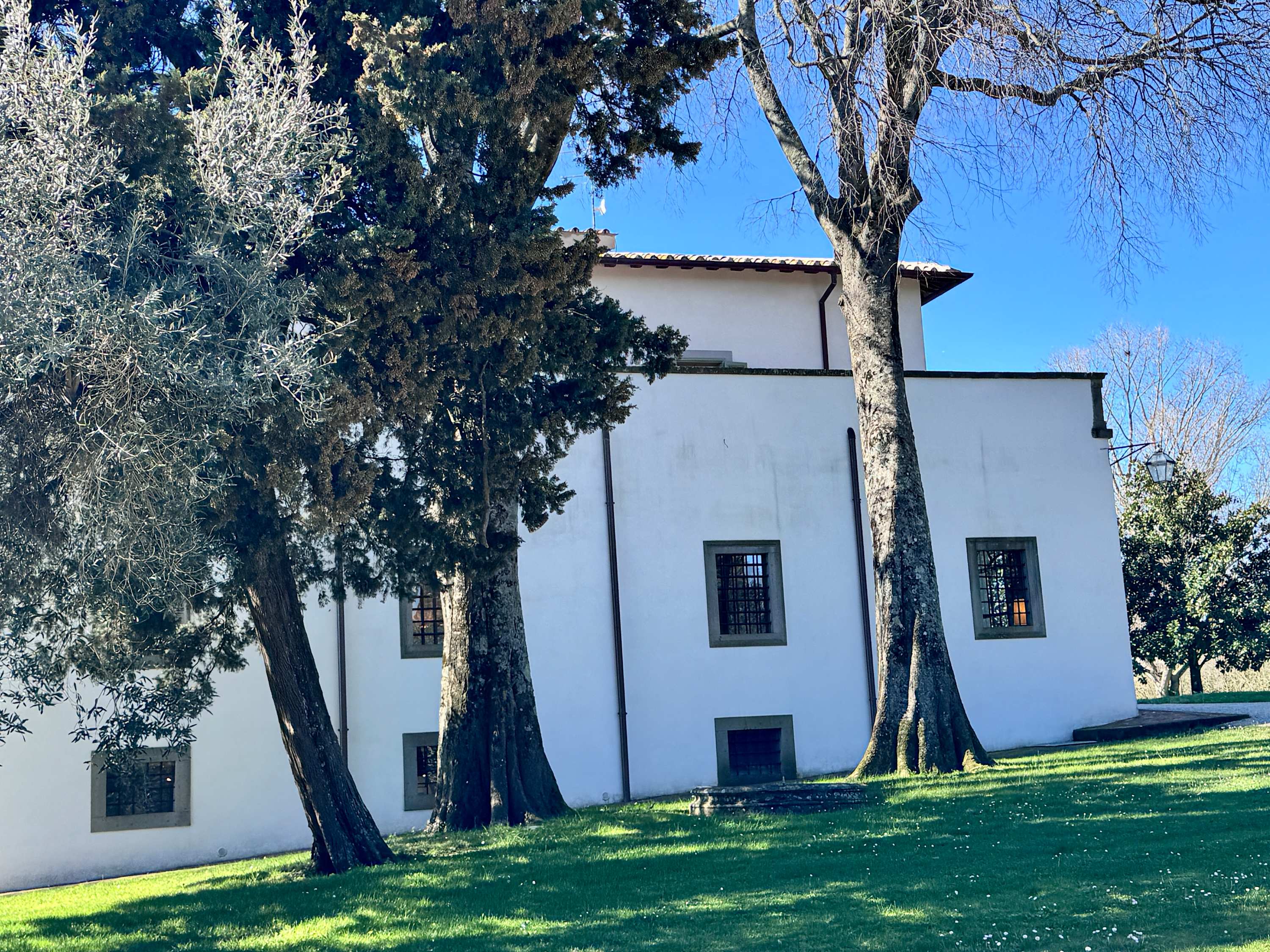 Estate of Joy - Image 40