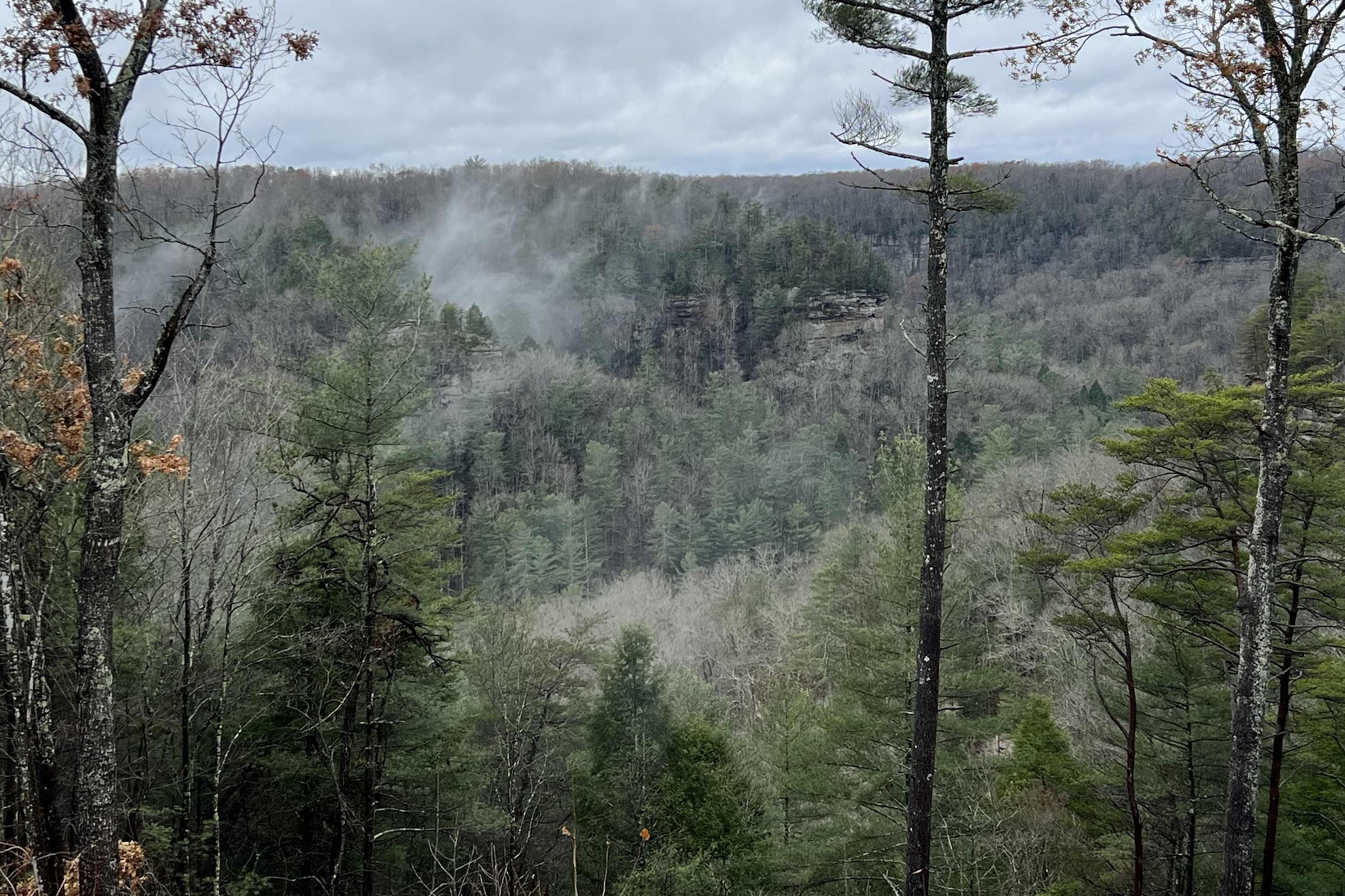 Date Night Cabin - Romantic, Sauna, Views, Hot Tub — Rogers, KY — vacation rental