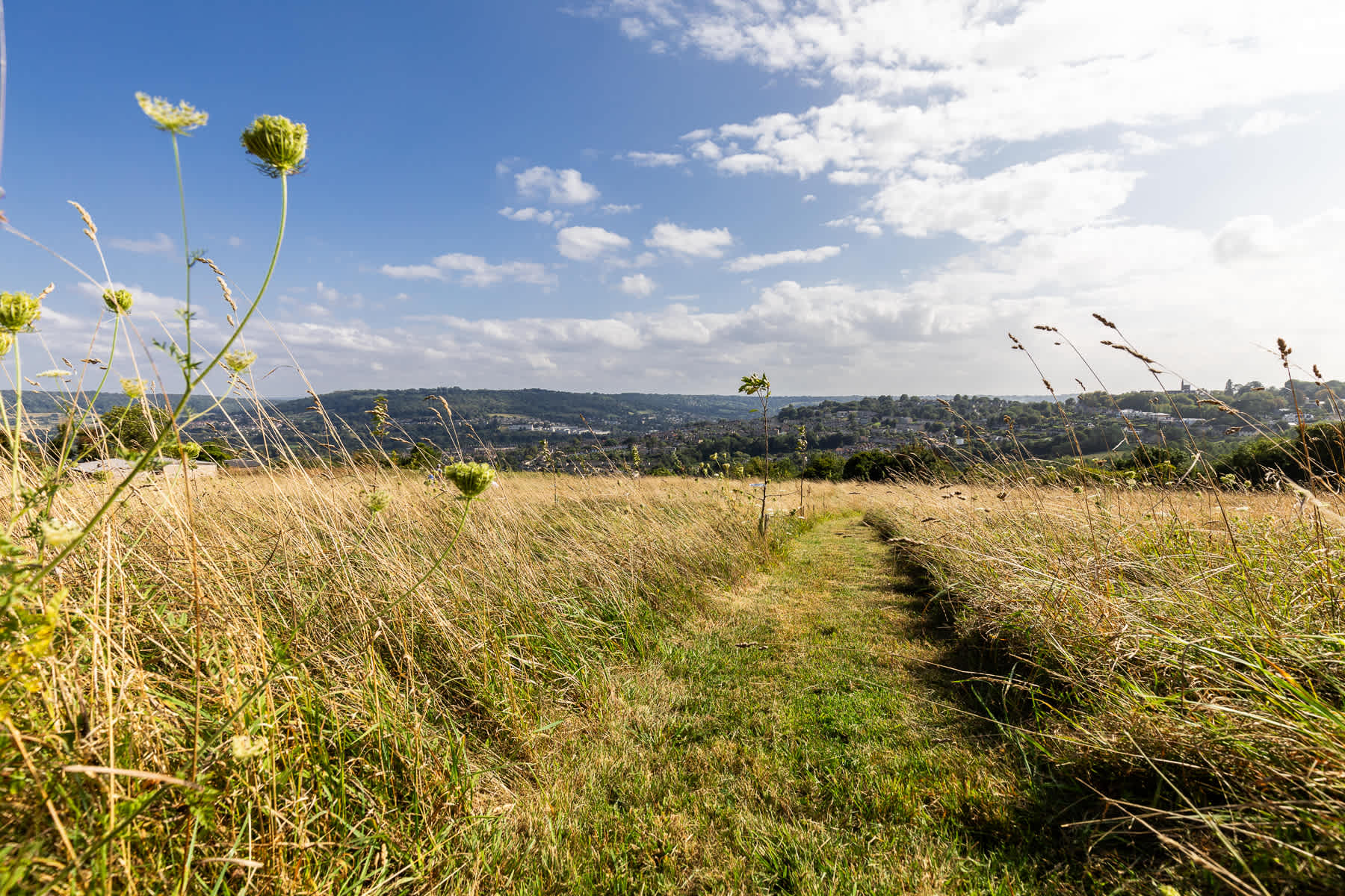View Stunning Home with Garden & Panoramic Views in Colliers Lane BA1 8DP Stunning Home with Garden & Panoramic Views in Colliers Lane BA1 8DP - Property image 44 - VivreStays