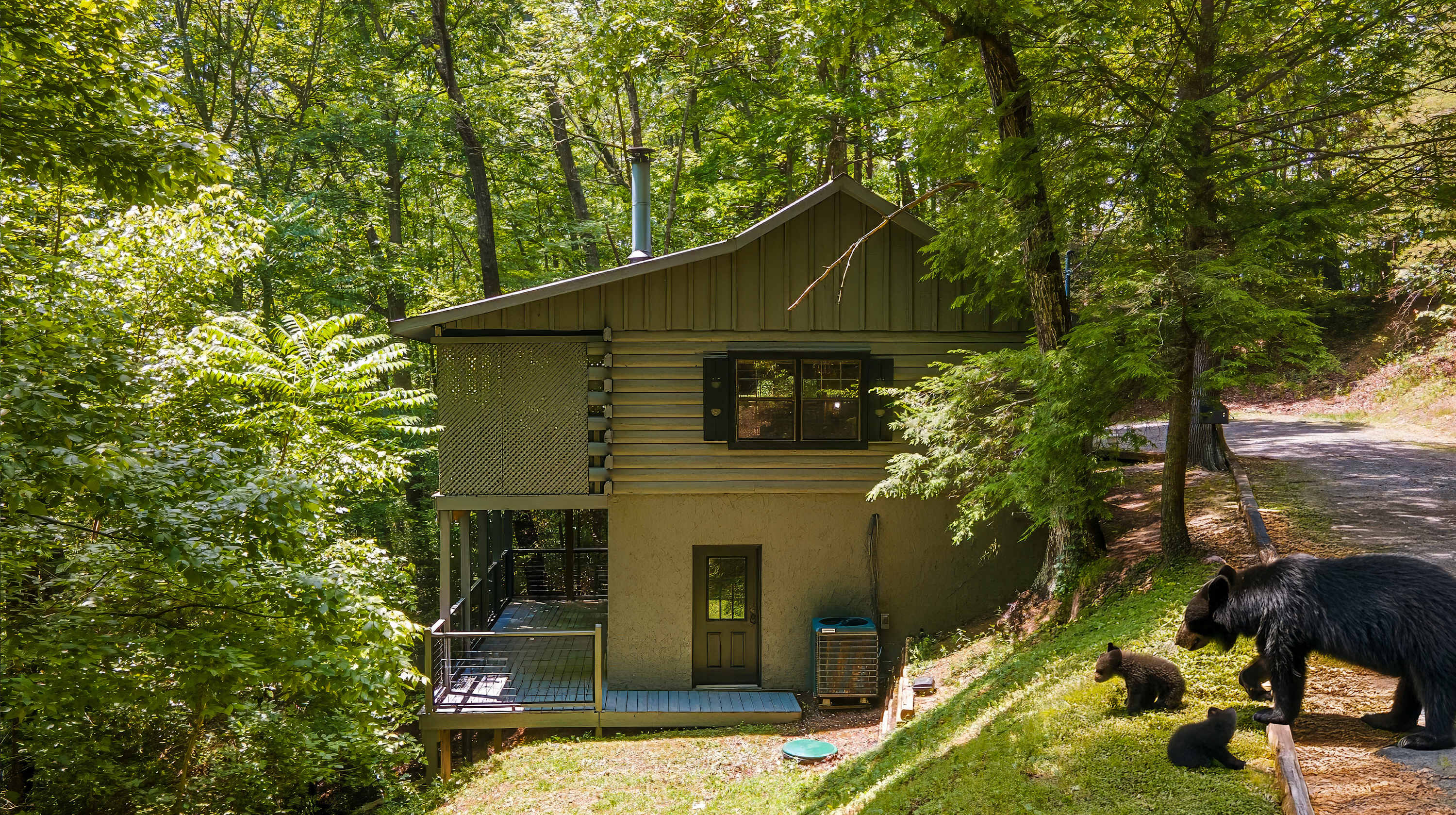 View 4
