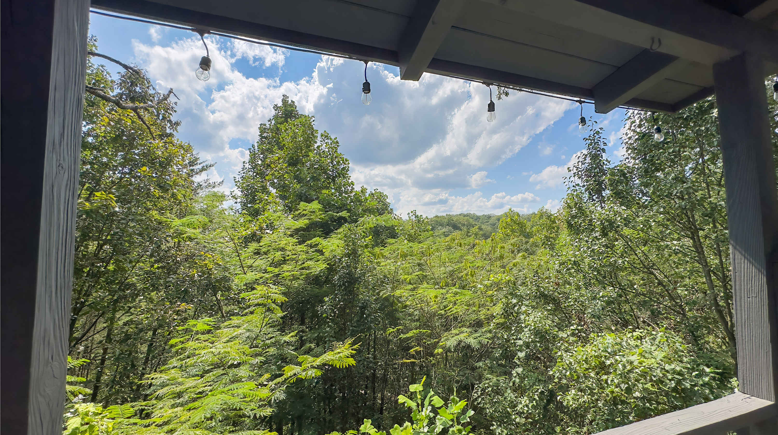 View 3