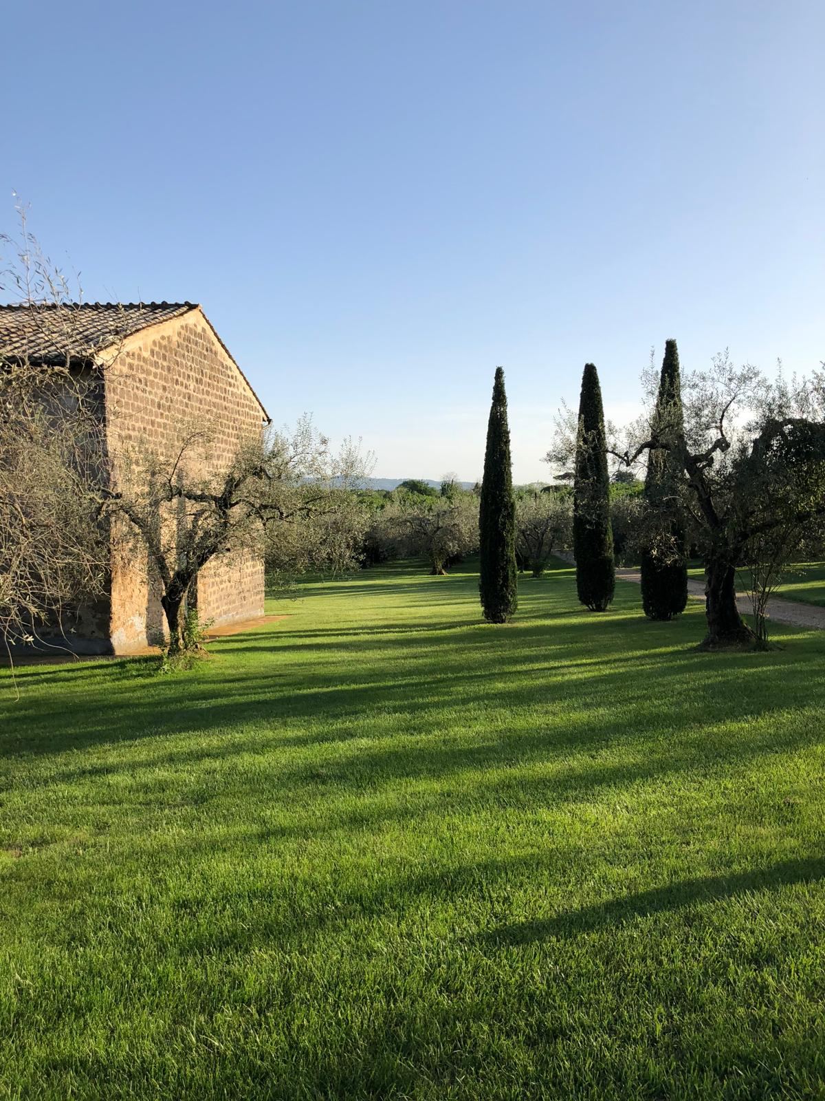 Estate of Joy - Image 76