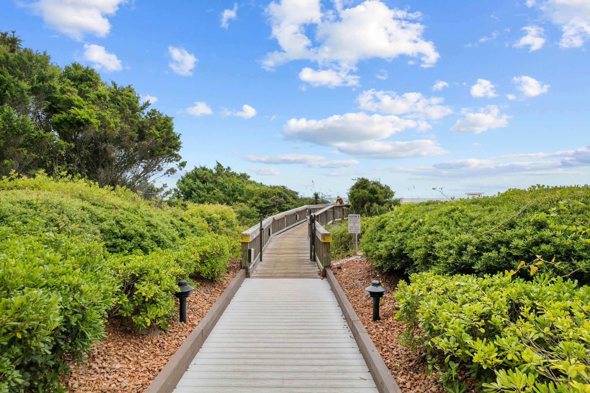 Isn’t it exciting to walk through this beautiful scenery?