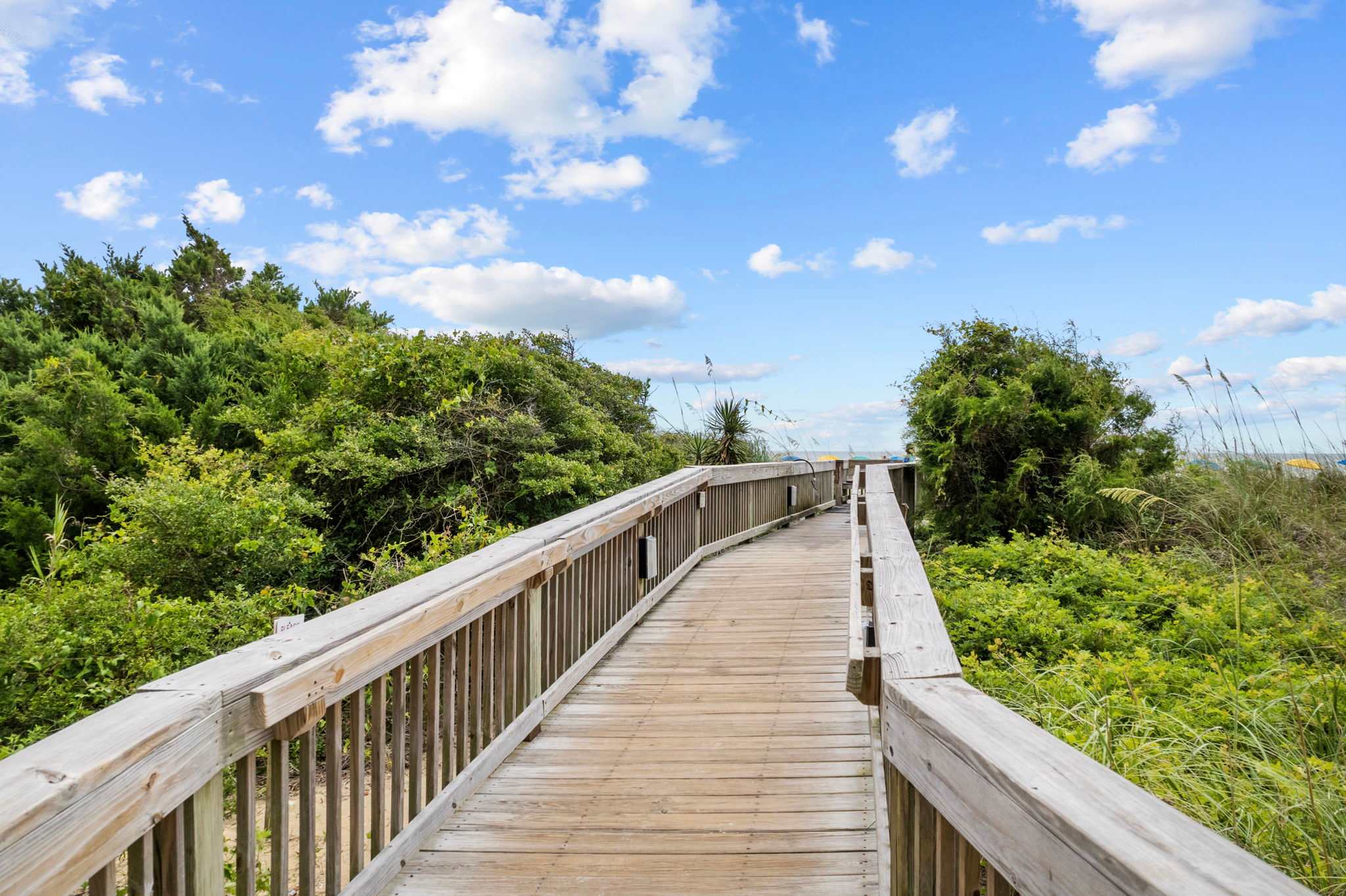 Isn’t it exciting to walk through this beautiful scenery?