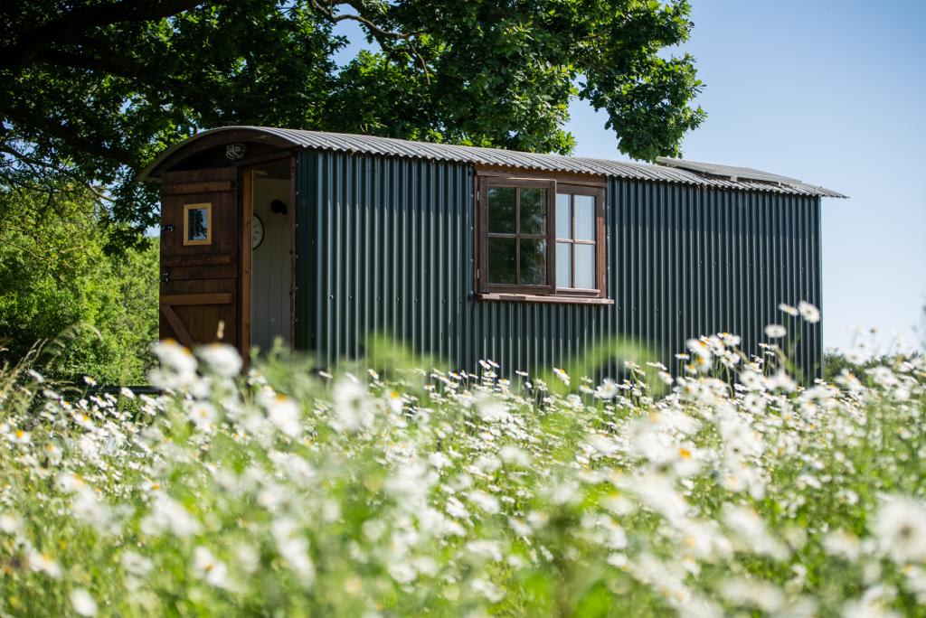 Harbour Ranch Hut – Rustic Countryside Escape