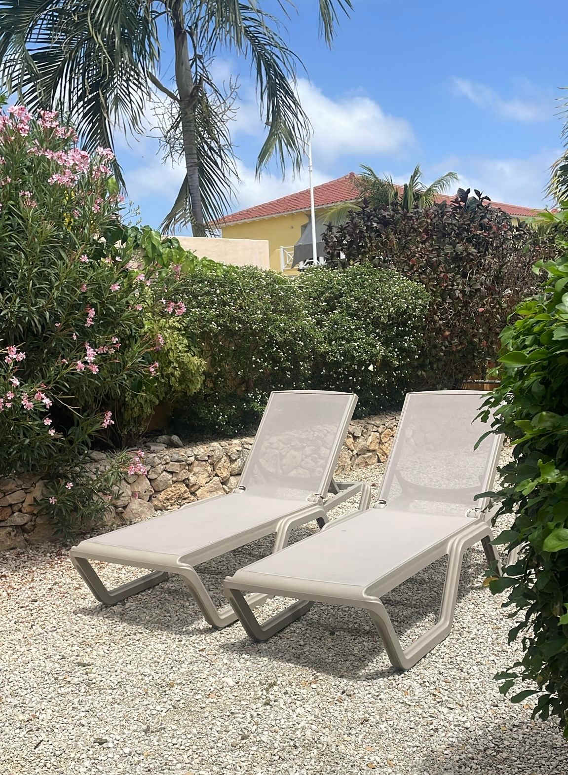 Kaya Sirena 14, 0000BQ Kralendijk, Caribbean Netherlands