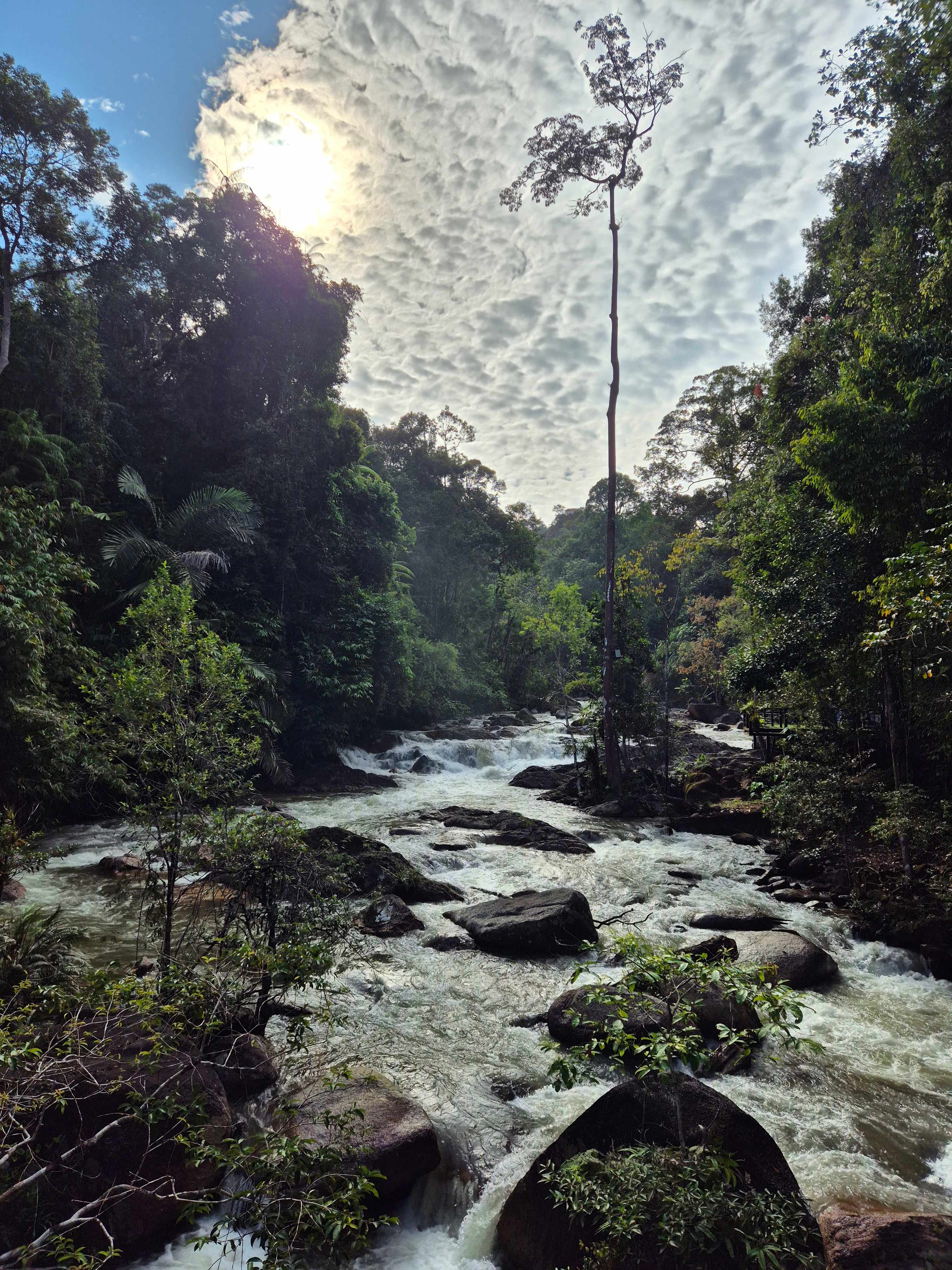 View 8