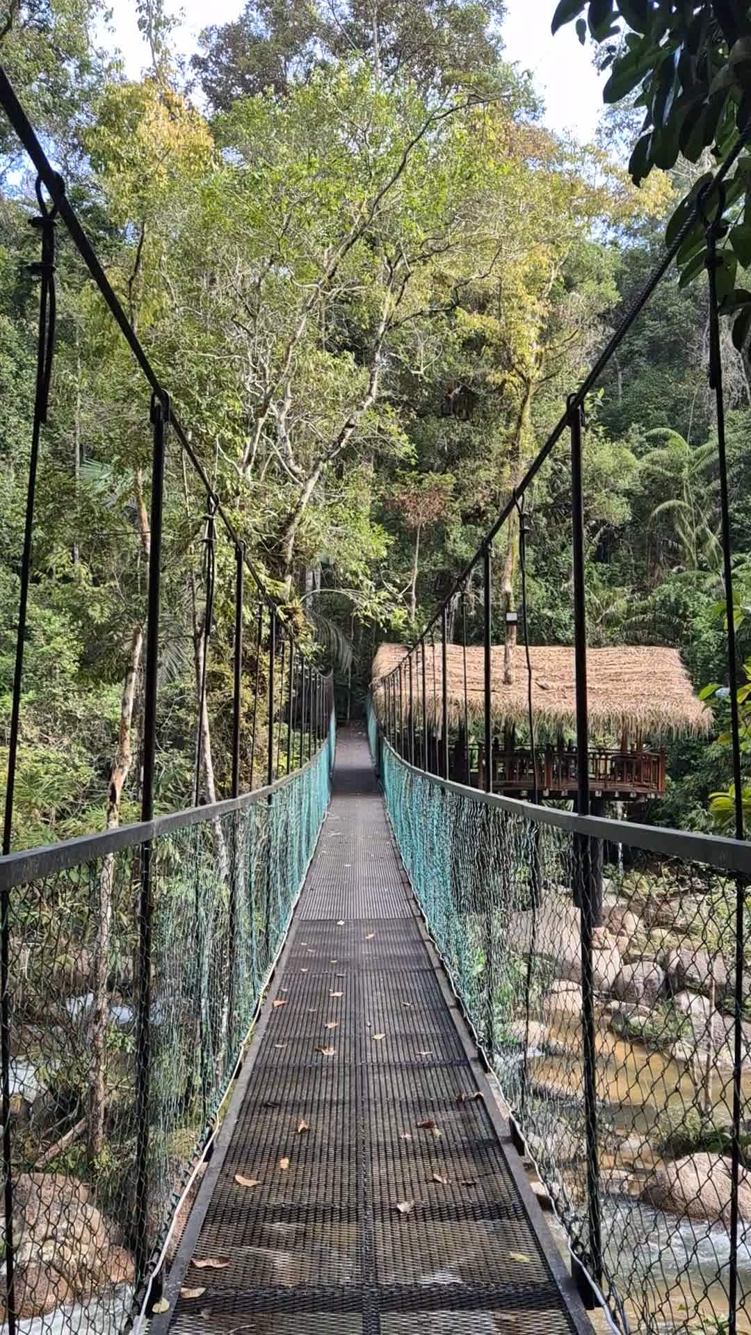 View 7