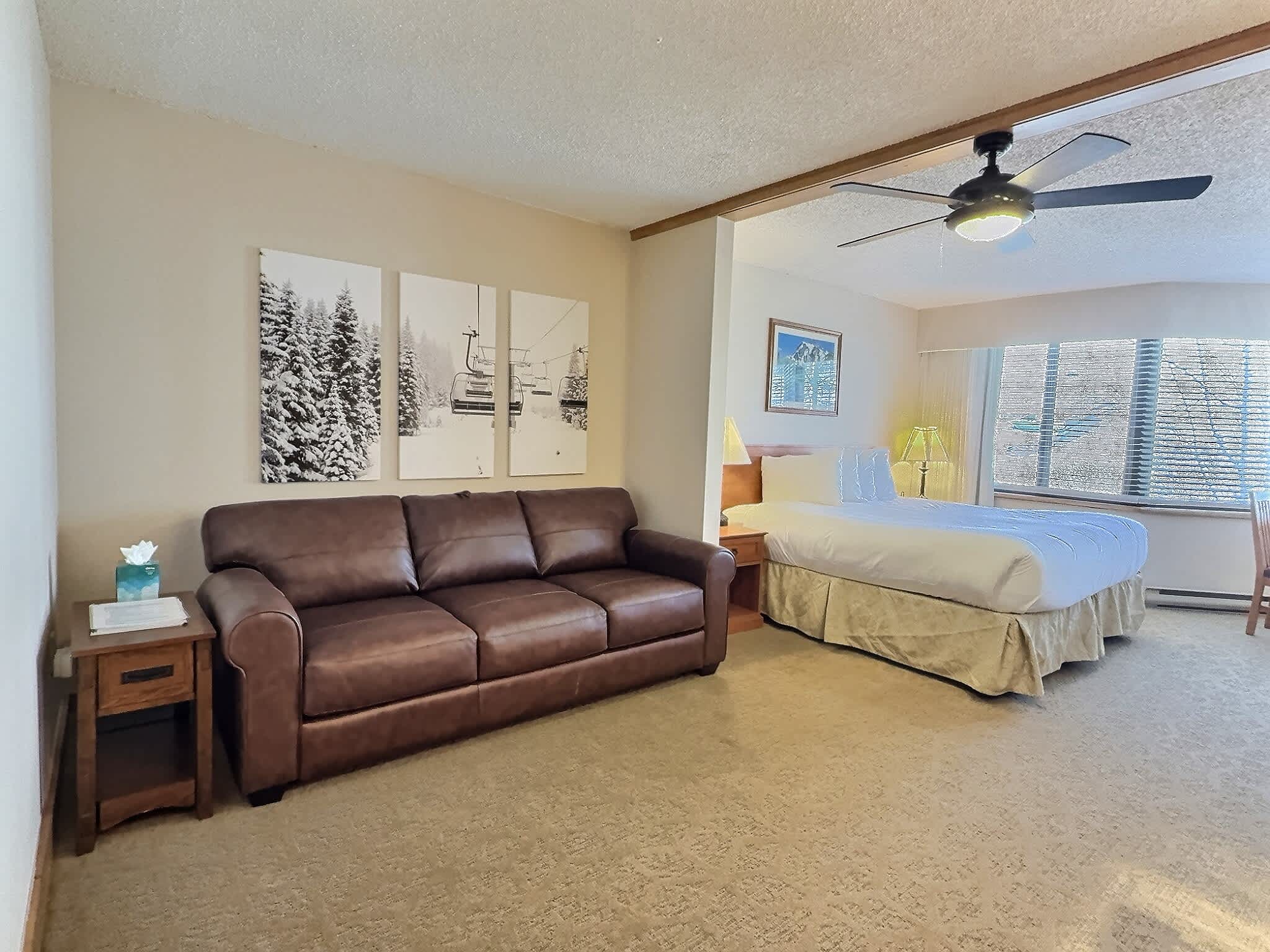Stellar Location, Hot Tub, Heated Pool, Steam Room, Gym — Crested Butte, CO — vacation rental