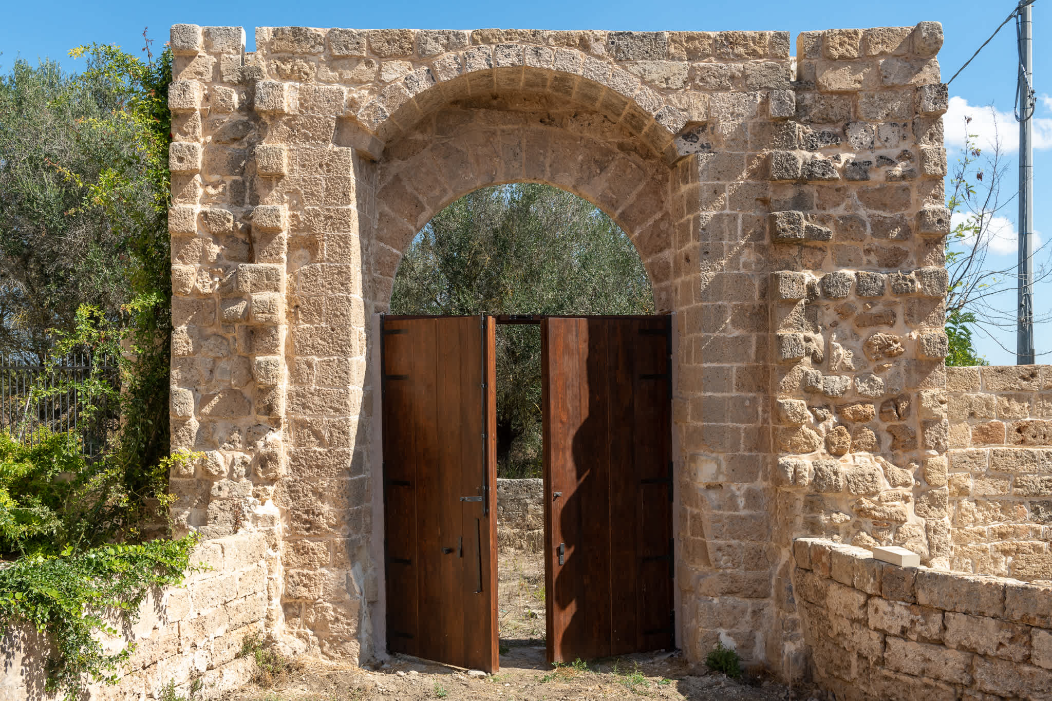 Oasi Verde - Image 9