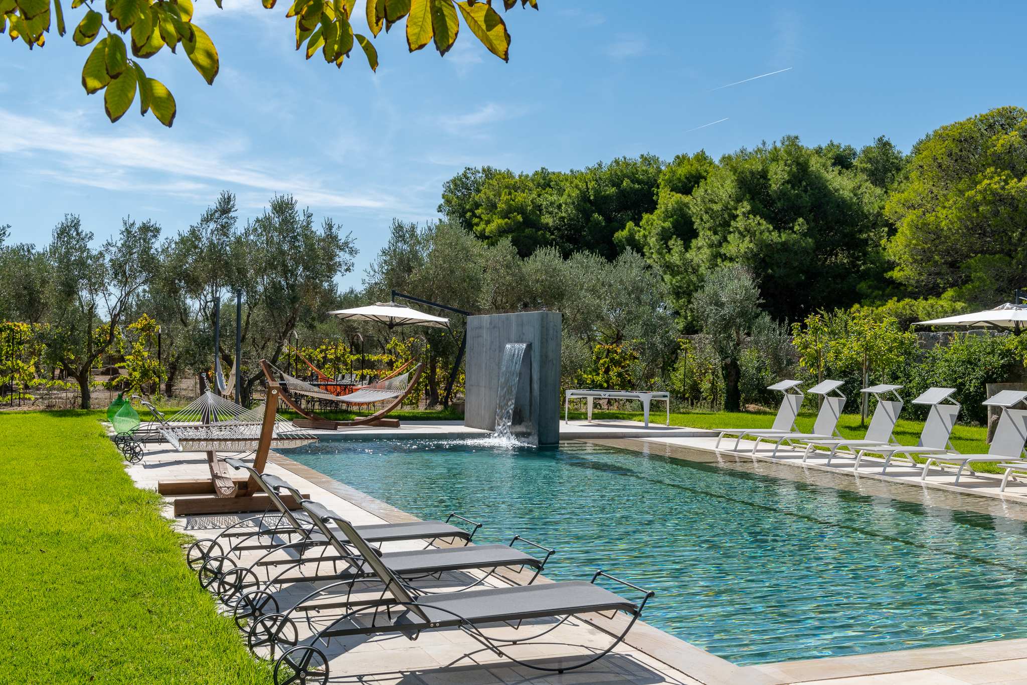 Oasi Verde - Image 14