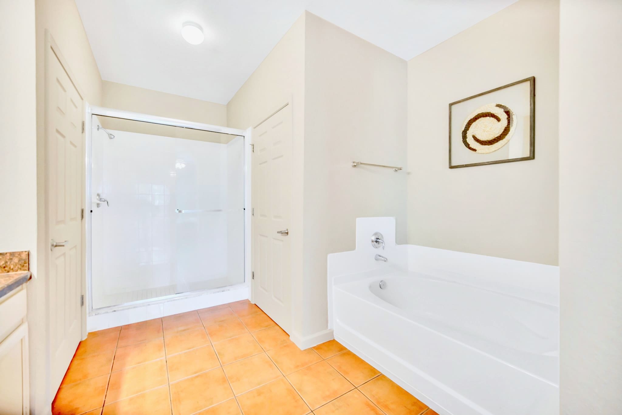 King en-suite bathroom with bathtub and standing shower