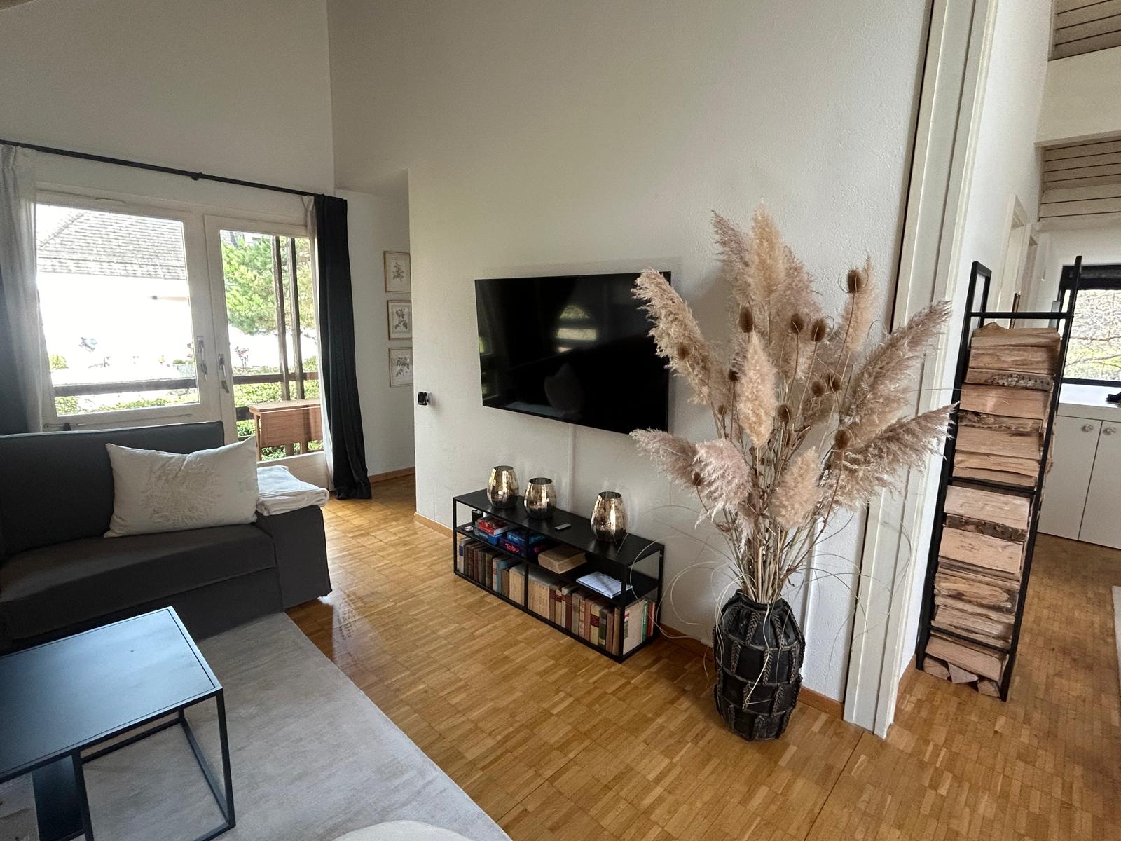 Bright One-Bedroom Apartment Near Zurich — Herrliberg, Zürich — vacation rental
