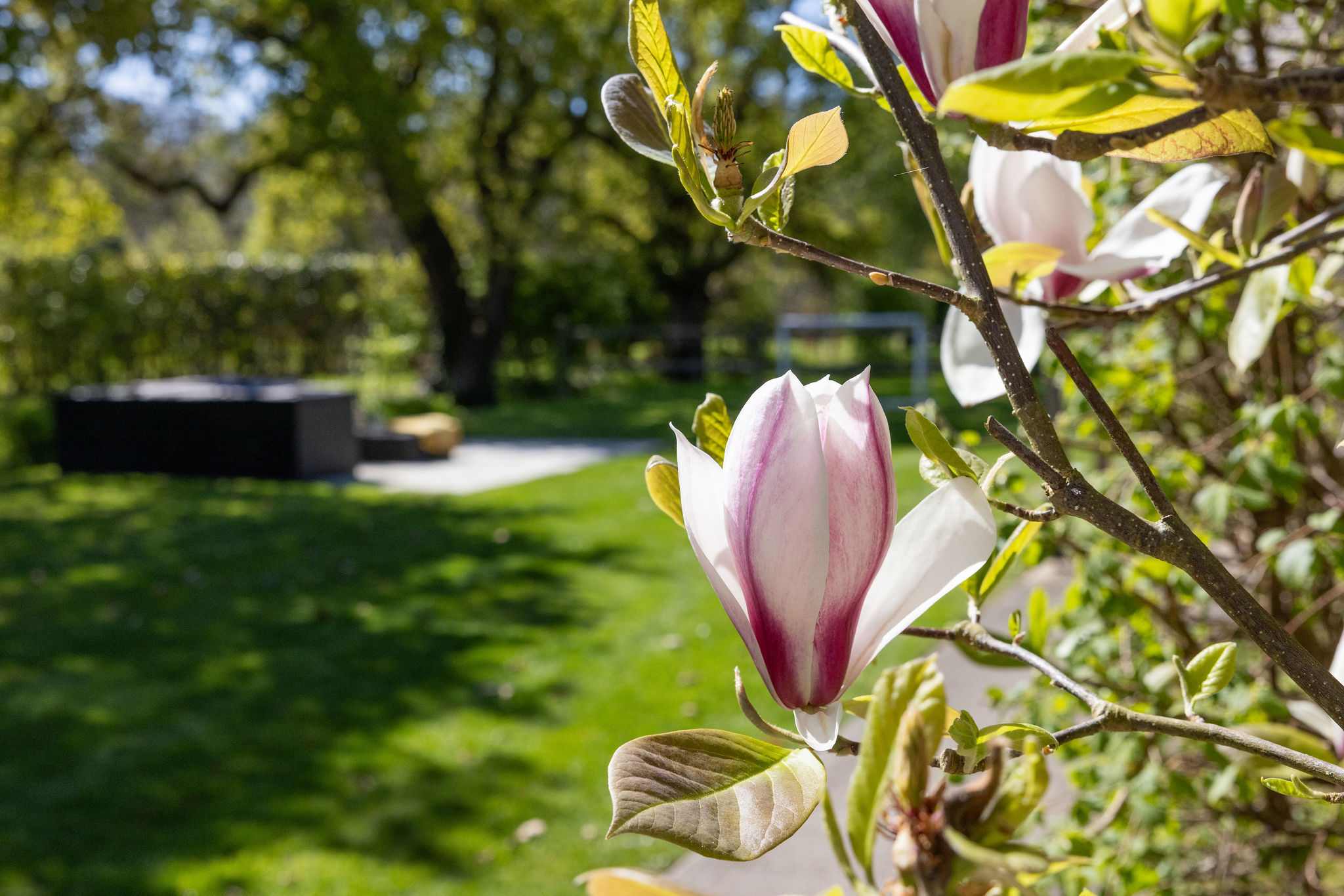 The home is surrounded by mature trees and shrubs.