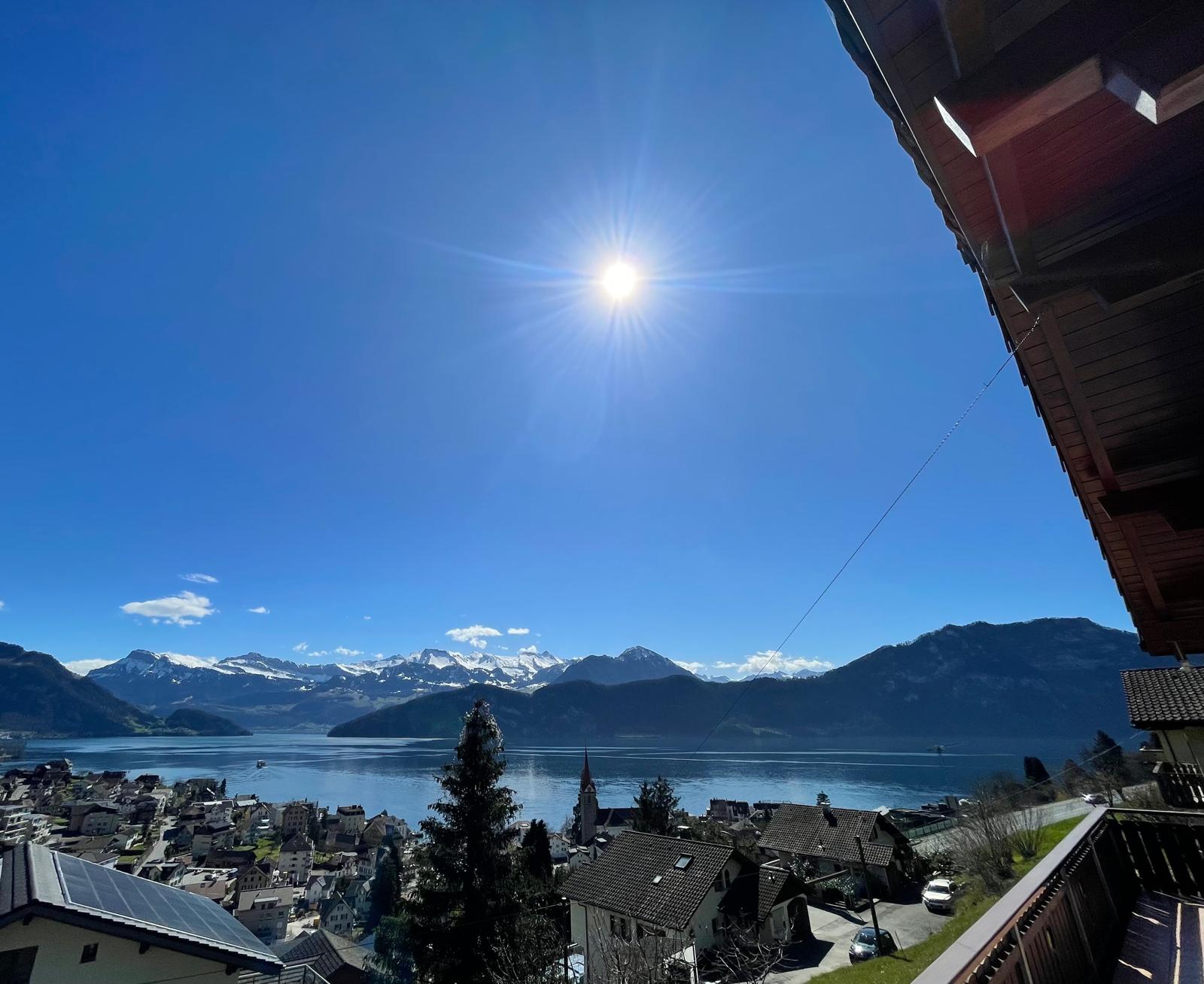 View 8
