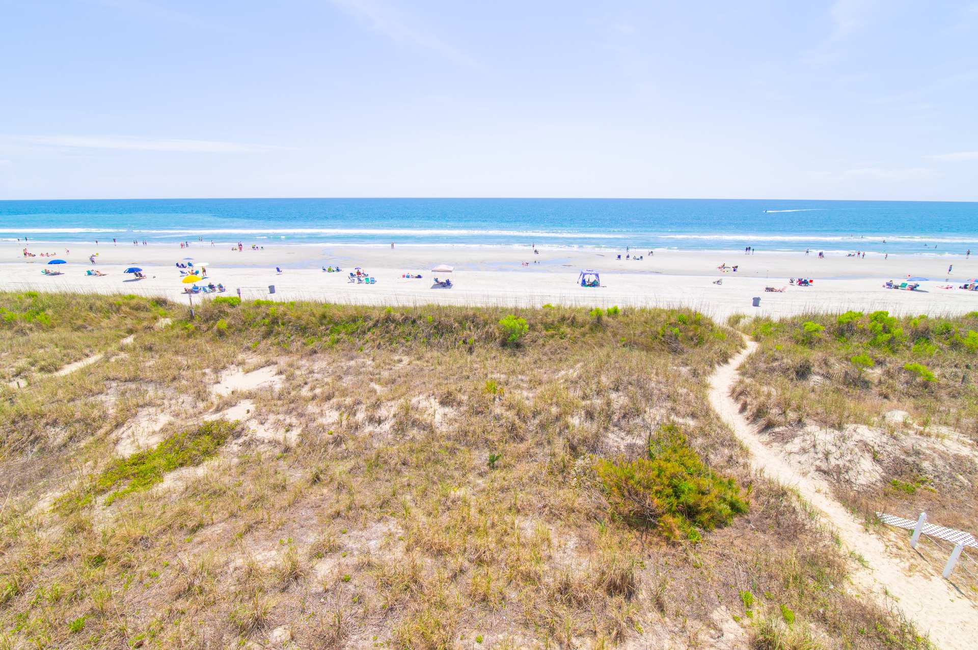 Salty Seahorse Oceanfront w Pool
