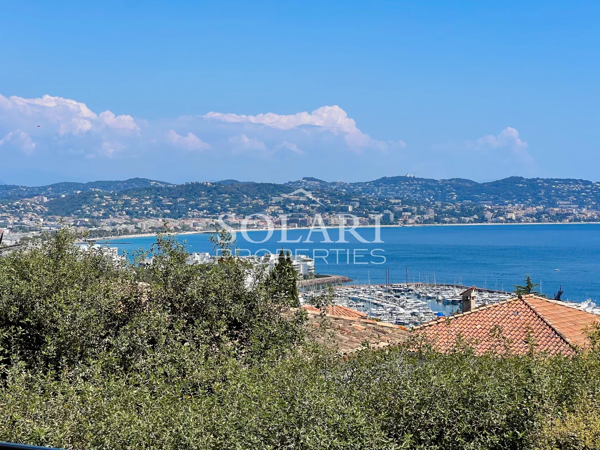 View 2