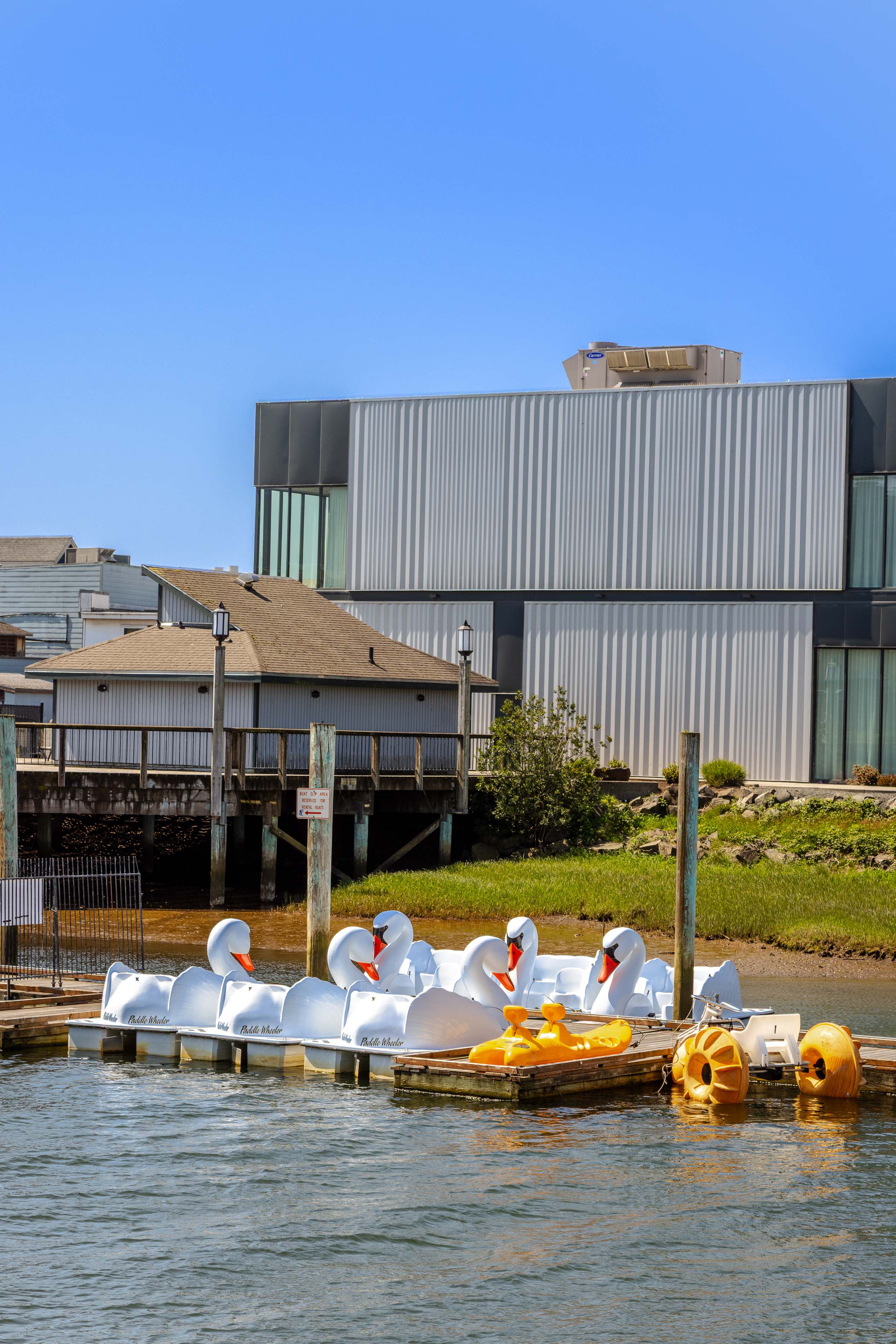 White swan paddle boats are neatly docked on a calm body of water, with a modern, corrugated metal building and a wooden structure visible on the distant shore. The scene is bright under a clear blue sky.