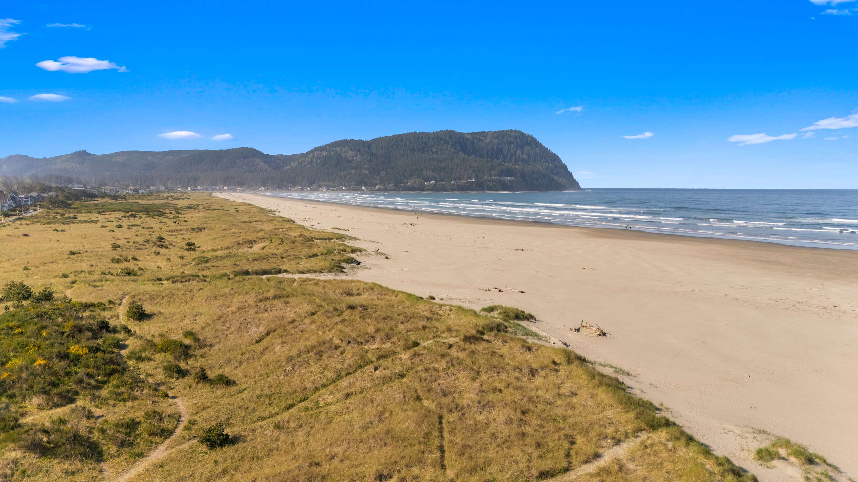 A sweeping aerial view reveals a vast, pristine sandy beach bordered by rolling green dunes and a distant forested headland under a clear blue sky. The ocean waves gently lap the shore, with a few small figures visible on the expansive sand.