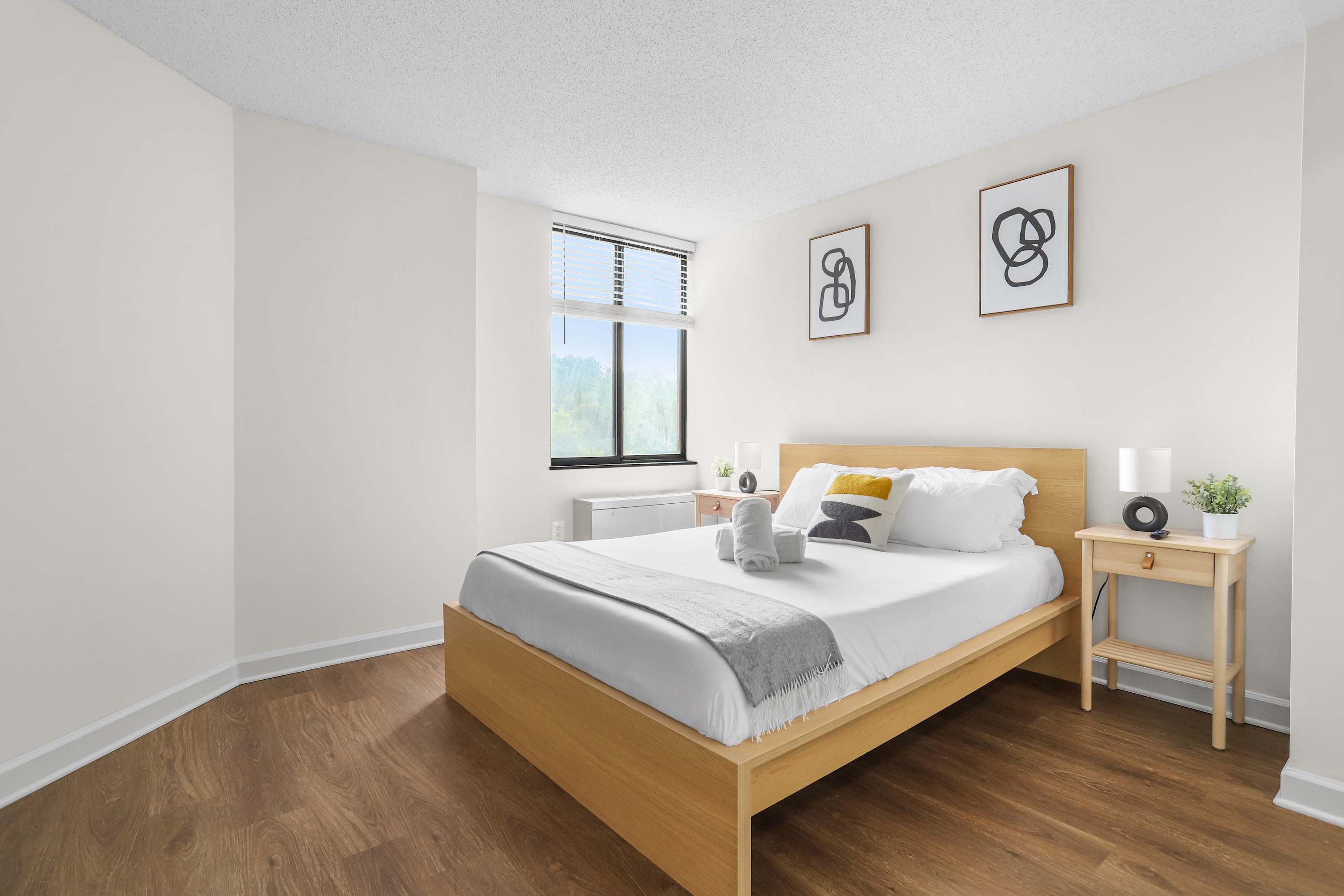 Modern Comfort Apt in Pentagon City