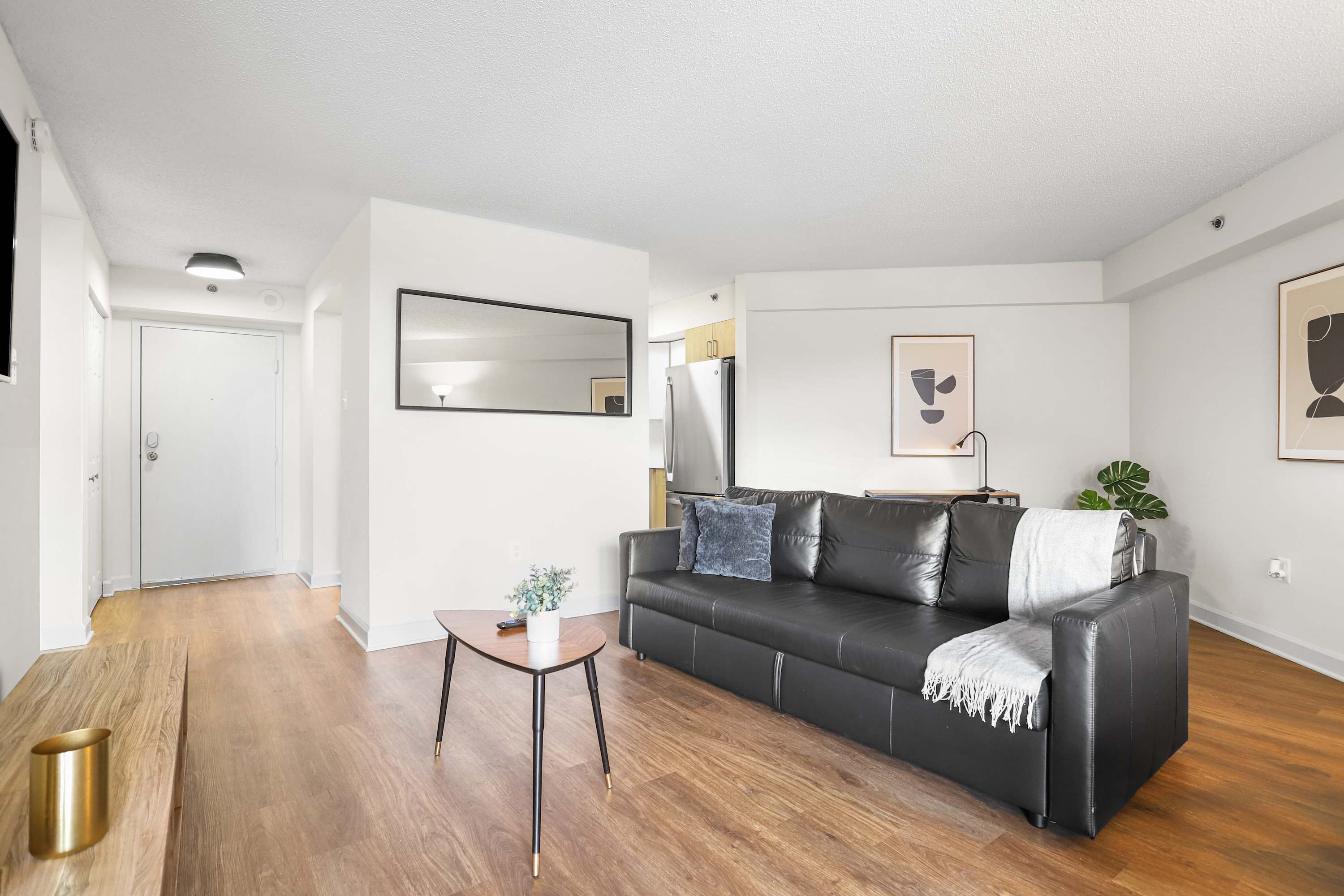 Modern Comfort Apt in Pentagon City