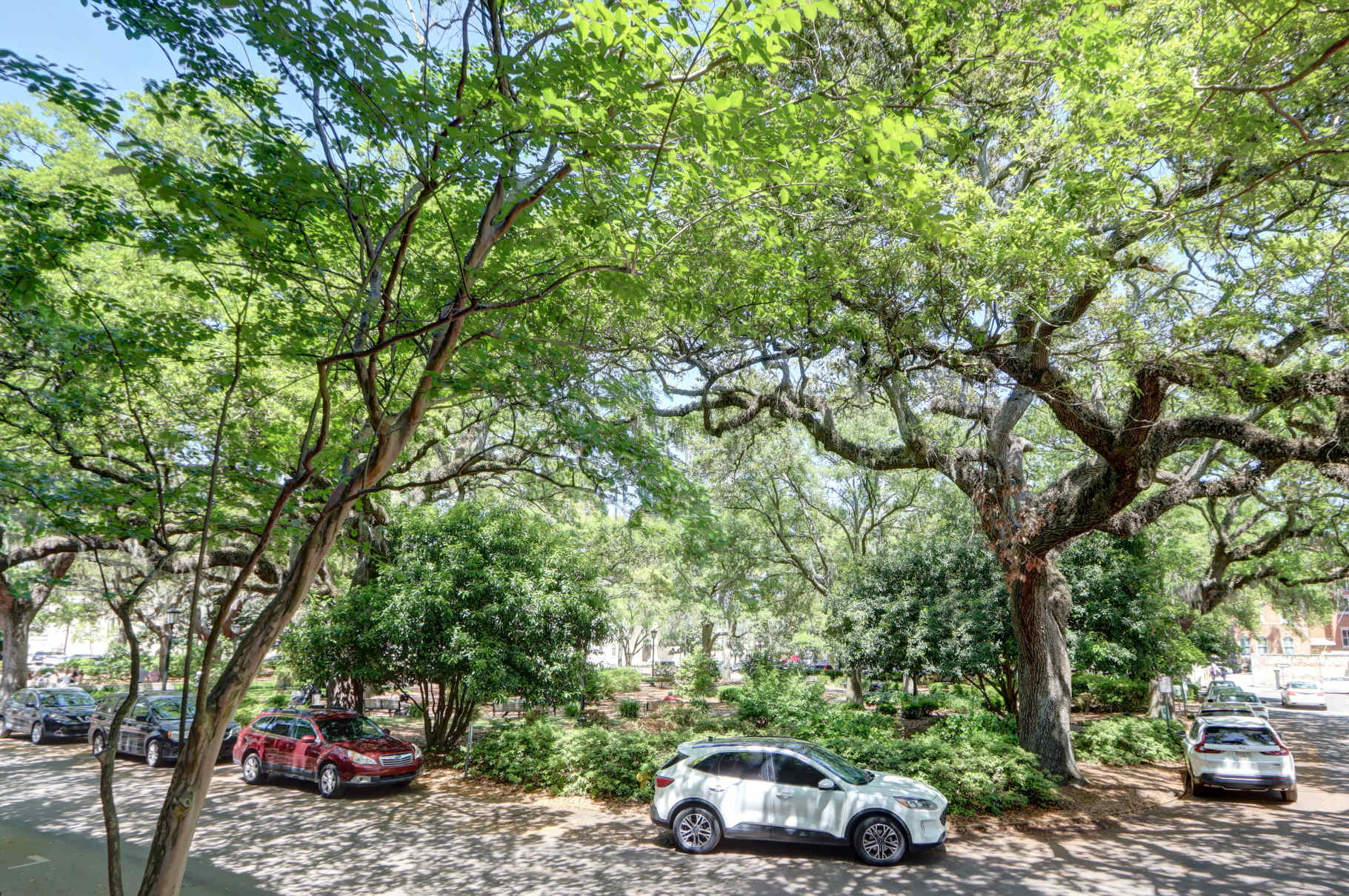 Your window view of Chippewa Square!