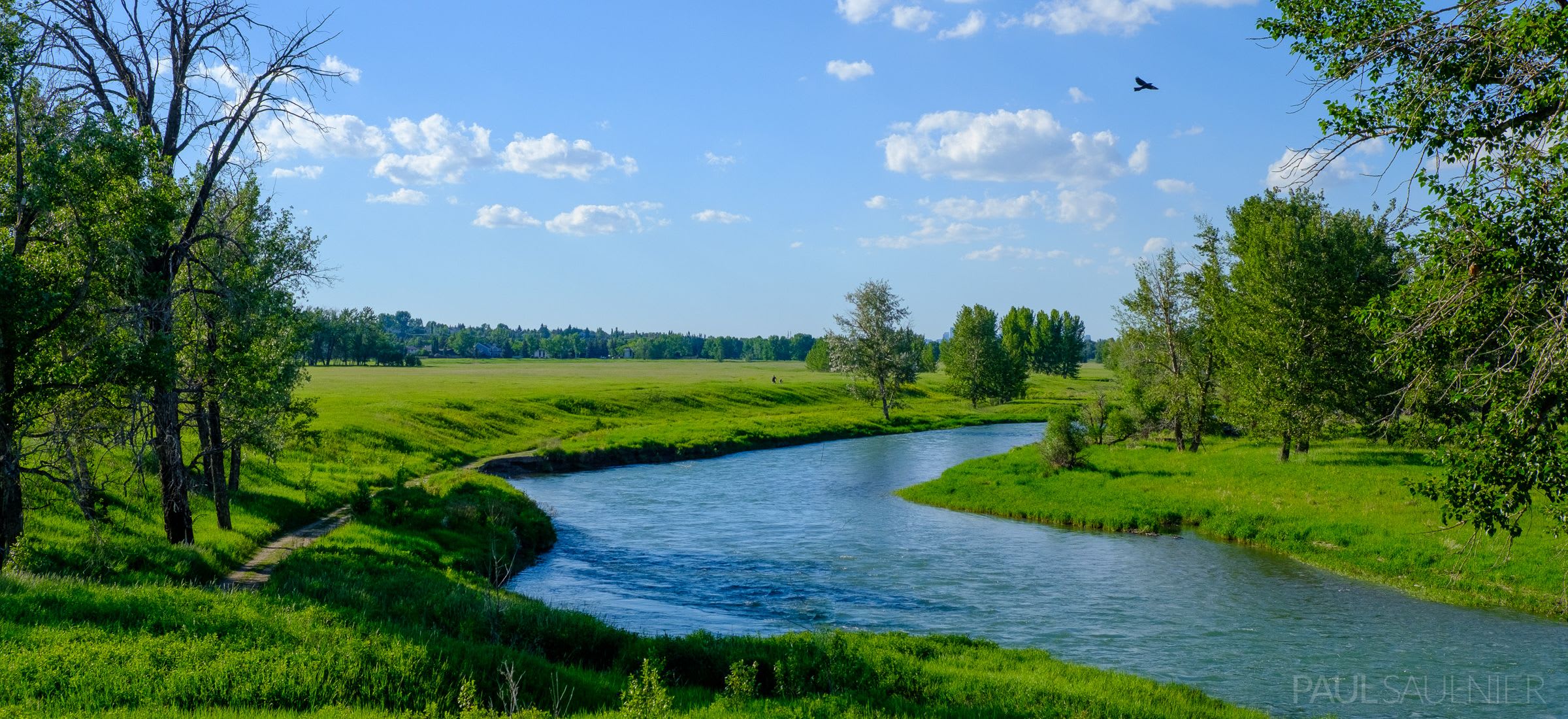 Fish Creek Provincial Park (5 mins drive)