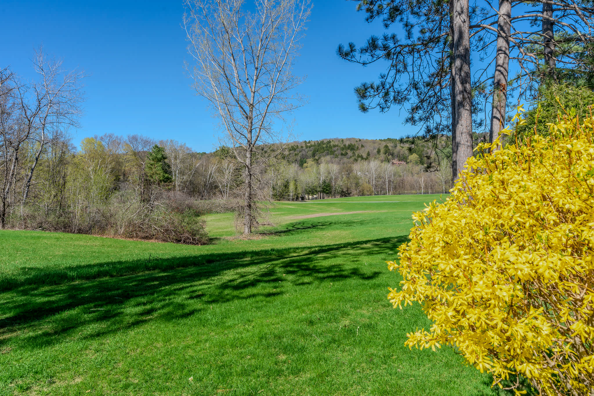 Highland Golf, Walk to Club | Lakeland Village 2D