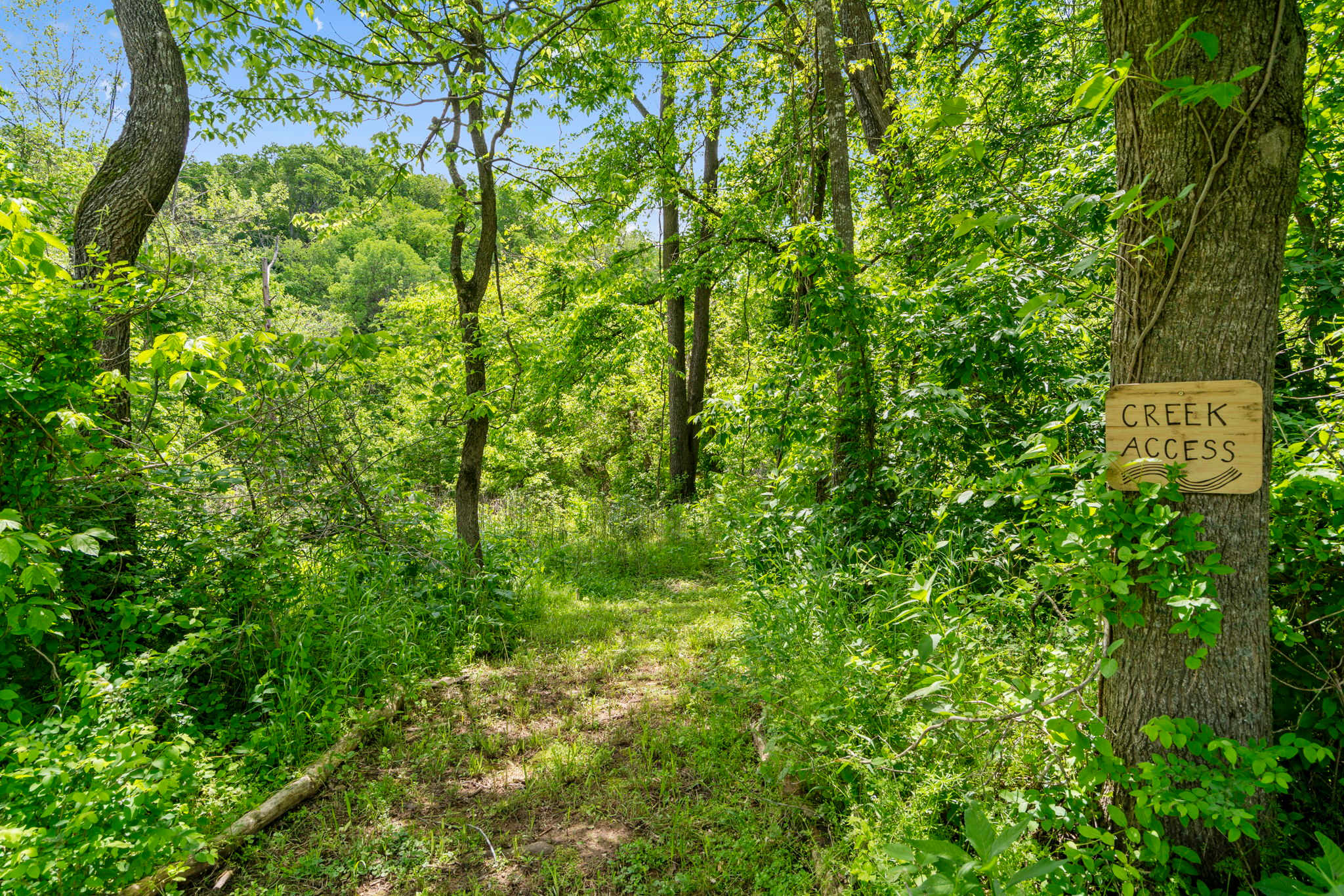 Direct, private access to the creek at the back of the property