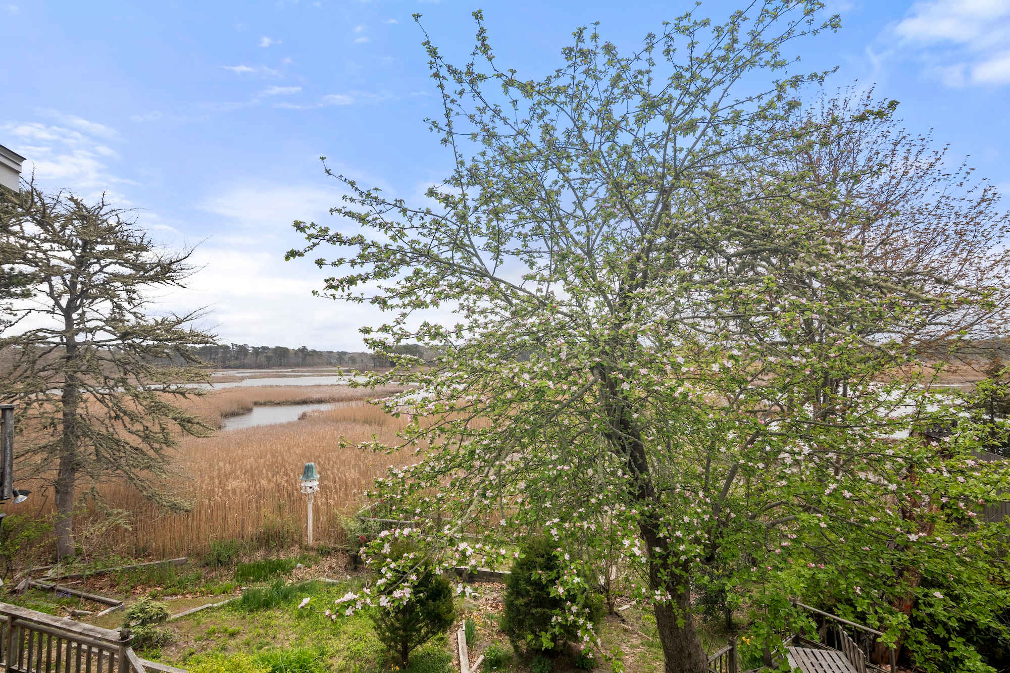 Photo 5 of Del Mar #17762