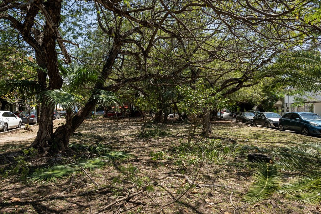 Casa Jurel Apartment Ideal Location in Cancun 2 Bedrooms Free WiFi and Kitchen 5