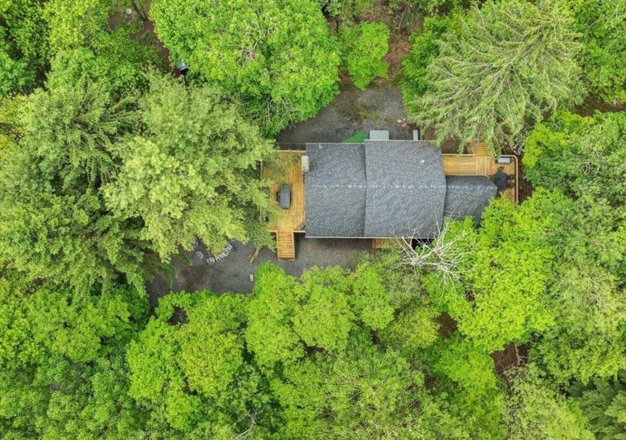 Bird's-Eye Forest View A stunning aerial shot showing how secluded
and surrounded by greenery your retreat really is.
