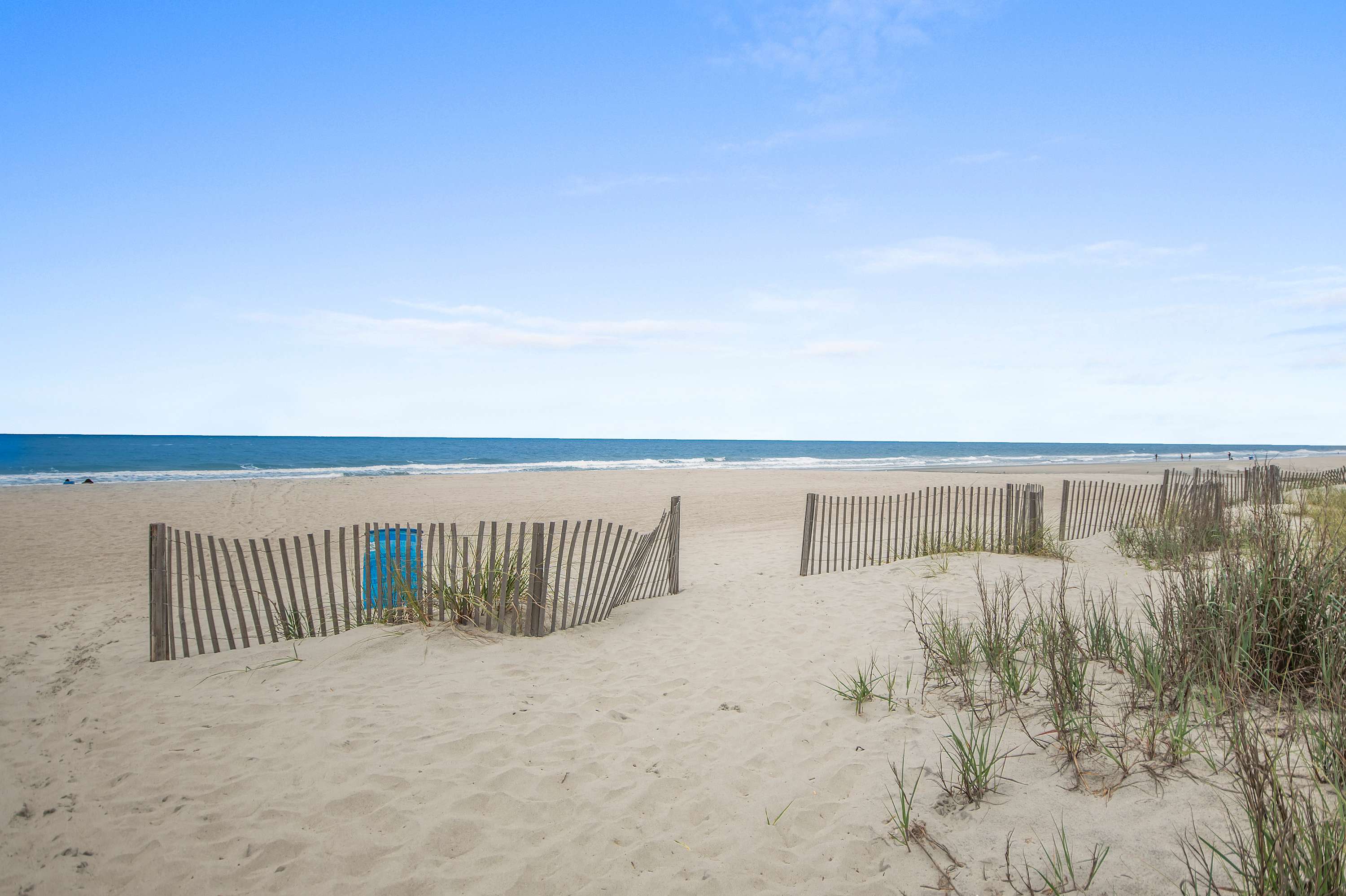 🌊 Your Backyard: The Atlantic Ocean