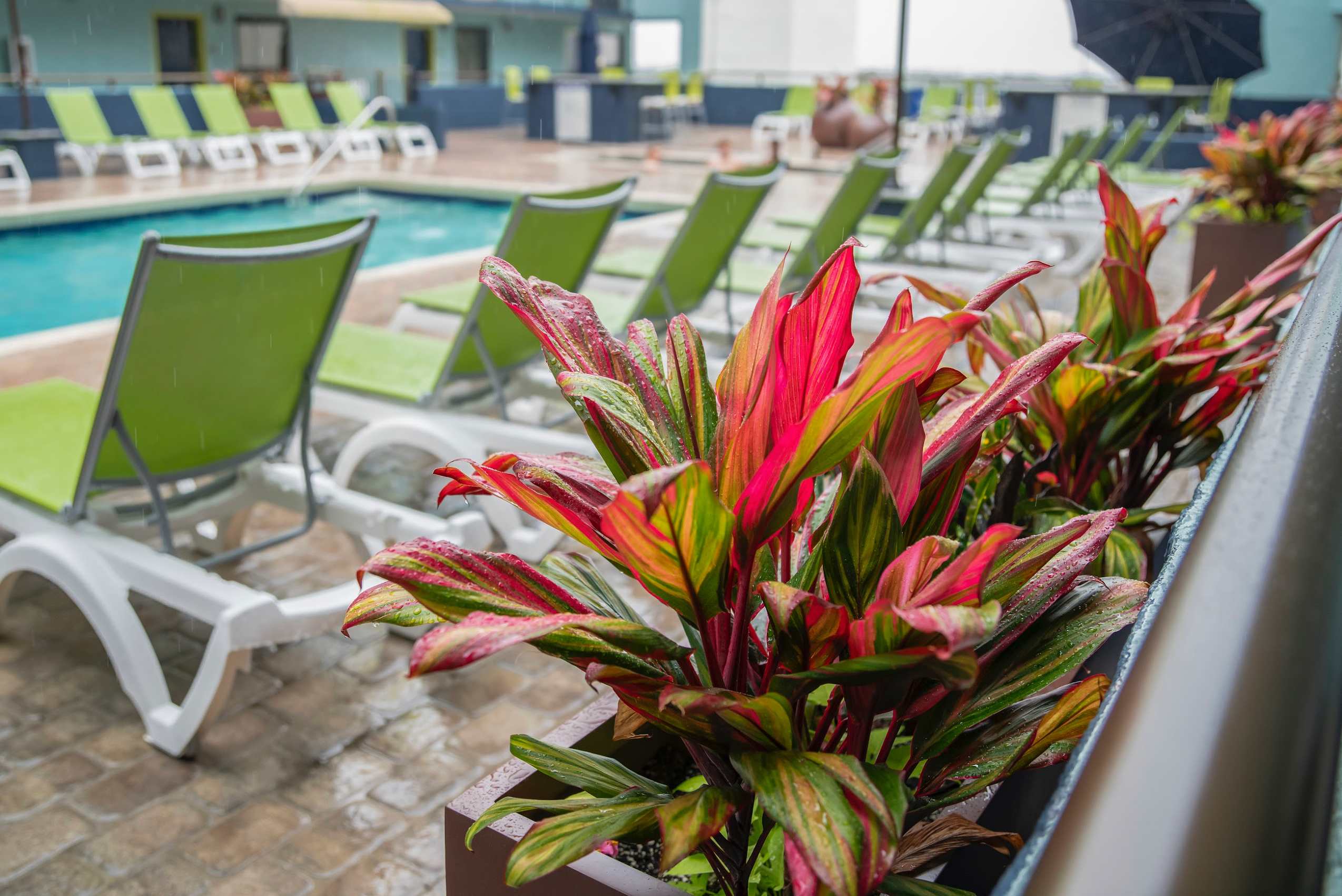 Hang out on the pool deck