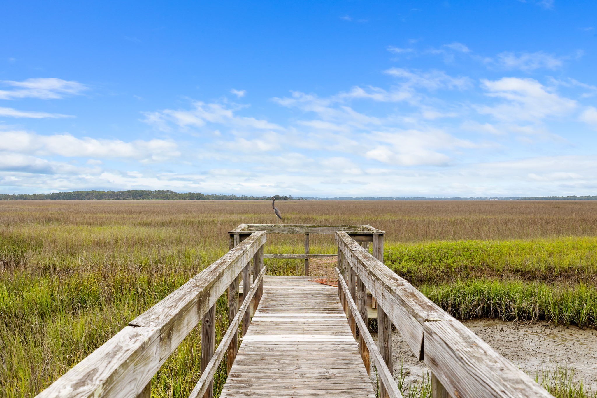 Private dock which is great for some crabbing during high tide in the Folly Creek! A perfect way to experience a Low Country tradition with your entire group!