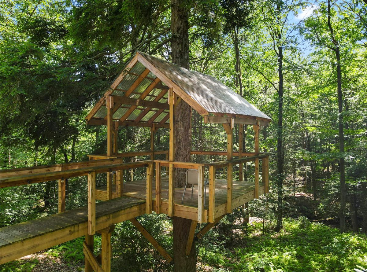 Escape to the tree house for quiet moments surrounded by lush green forest.