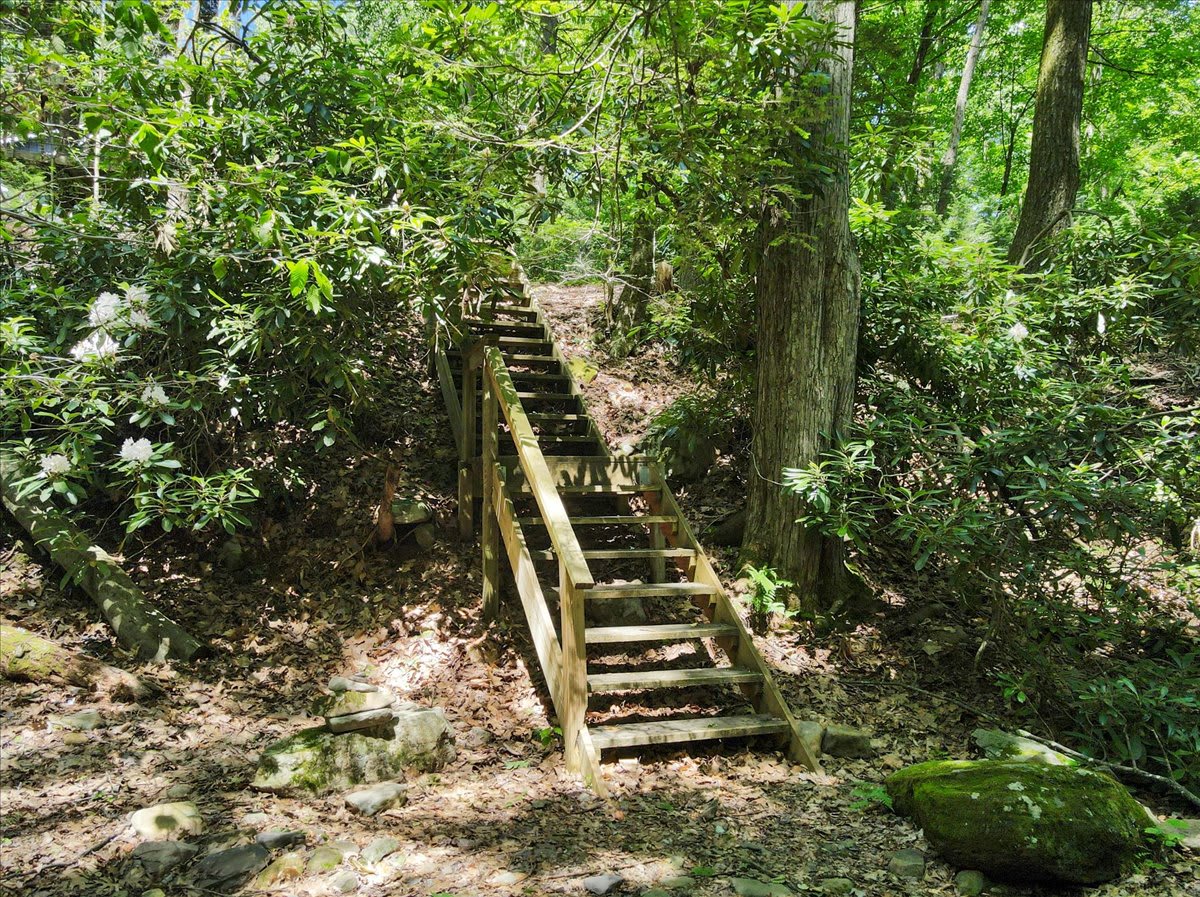 Wander down the woodland stairs to discover the creek below.