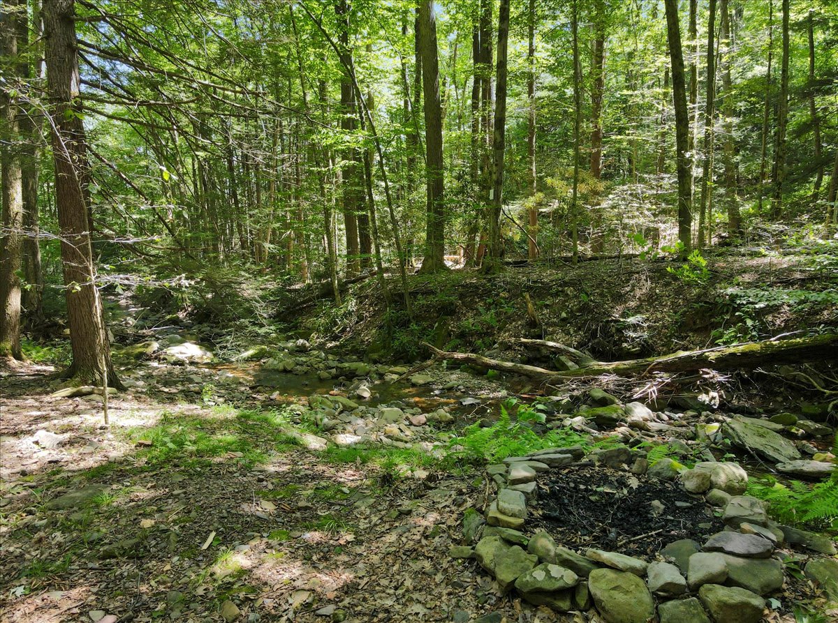 The peaceful creek runs alongside the property, perfect for nature lovers.