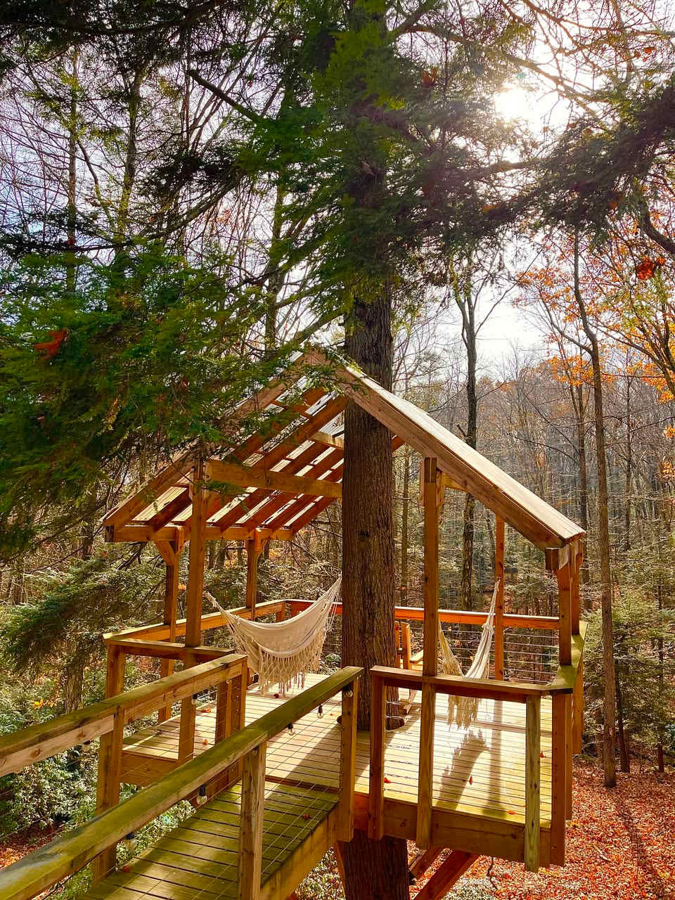 The tree house offers a peaceful hammock escape surrounded by fall foliage.
