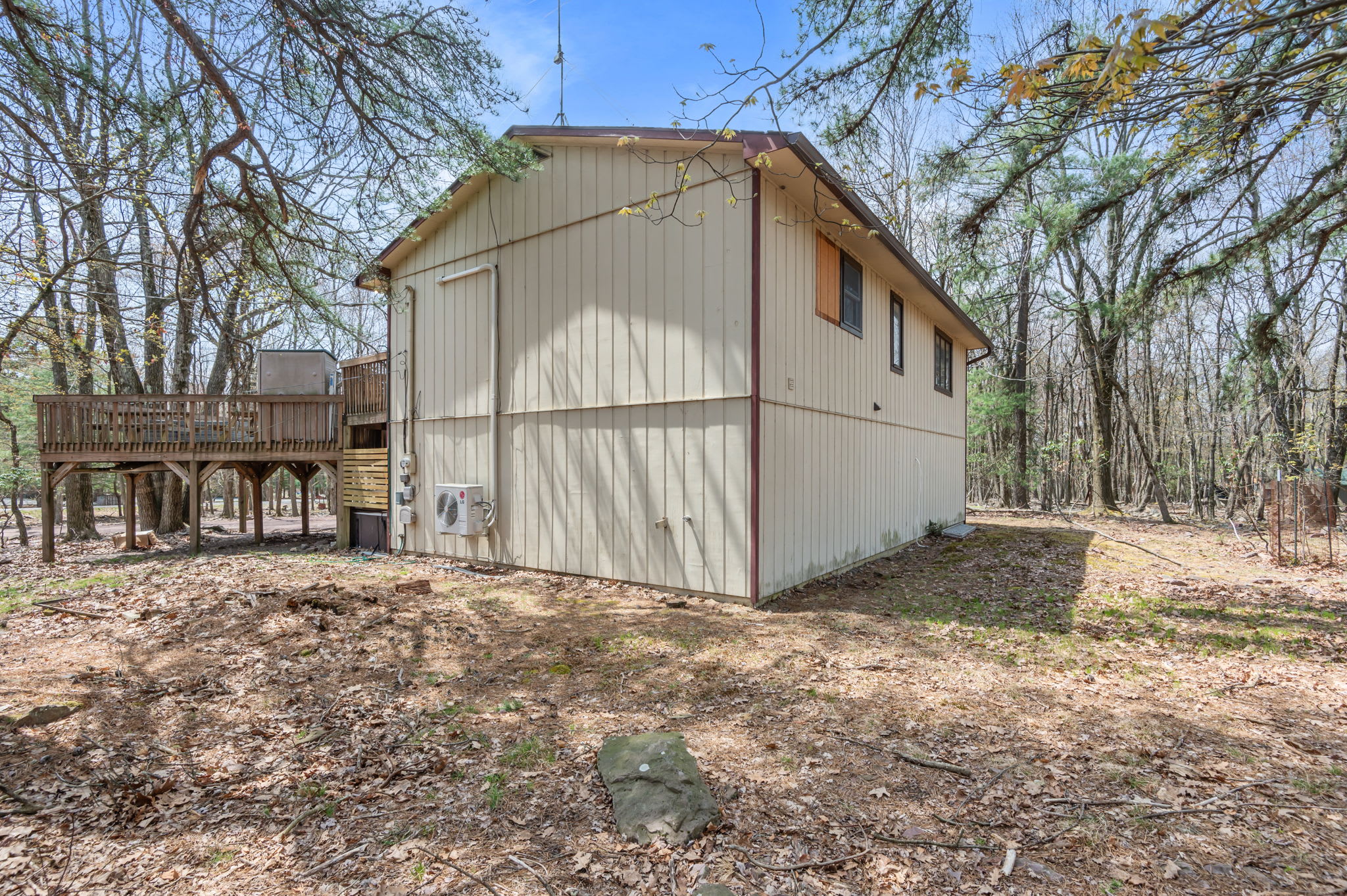 Peaceful backyard retreat surrounded by tall trees perfect for nature lovers