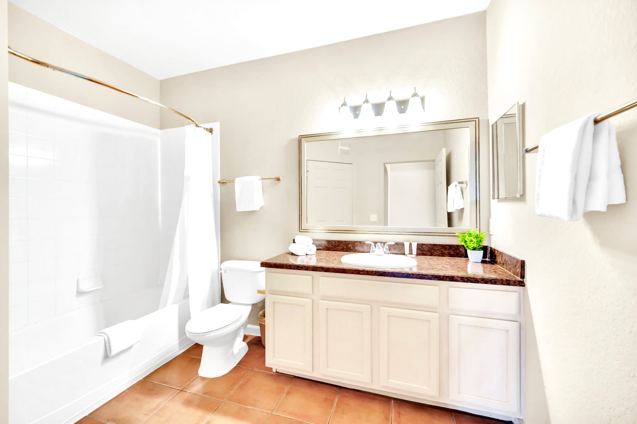 Full bathroom with combined bathtub and shower